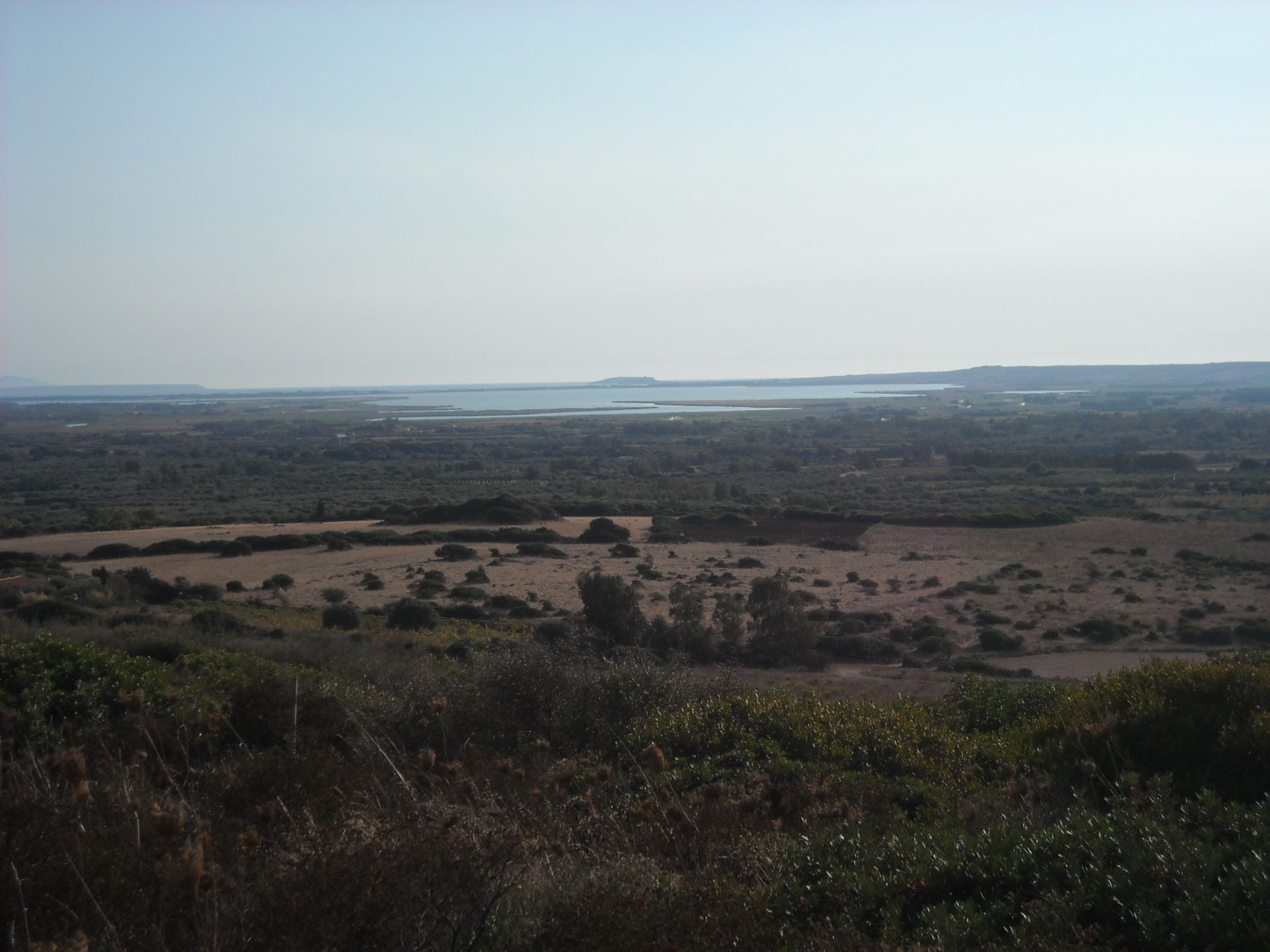 Vendita Terreno Agricolo Narbolia