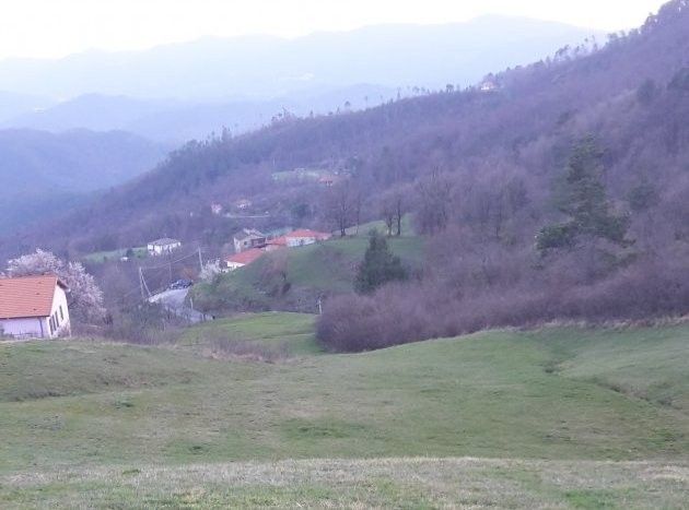 Terreno Agricolo in Vendita Zignago