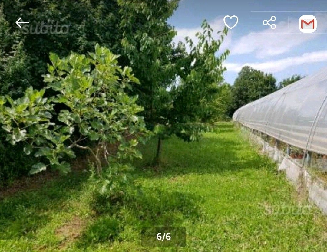 Vendita Terreno Agricolo Misano Adriatico