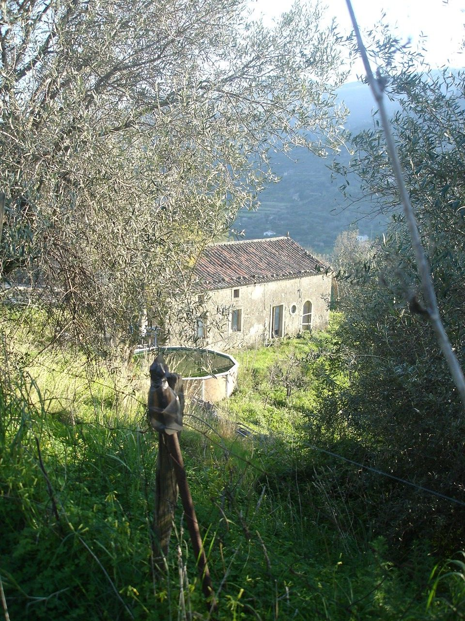 Terreno Agricolo Motta Camastra 