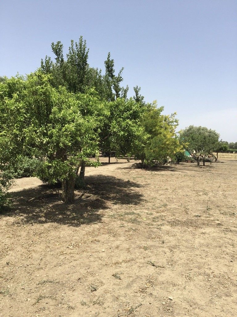 Terreno Agricolo Oria 