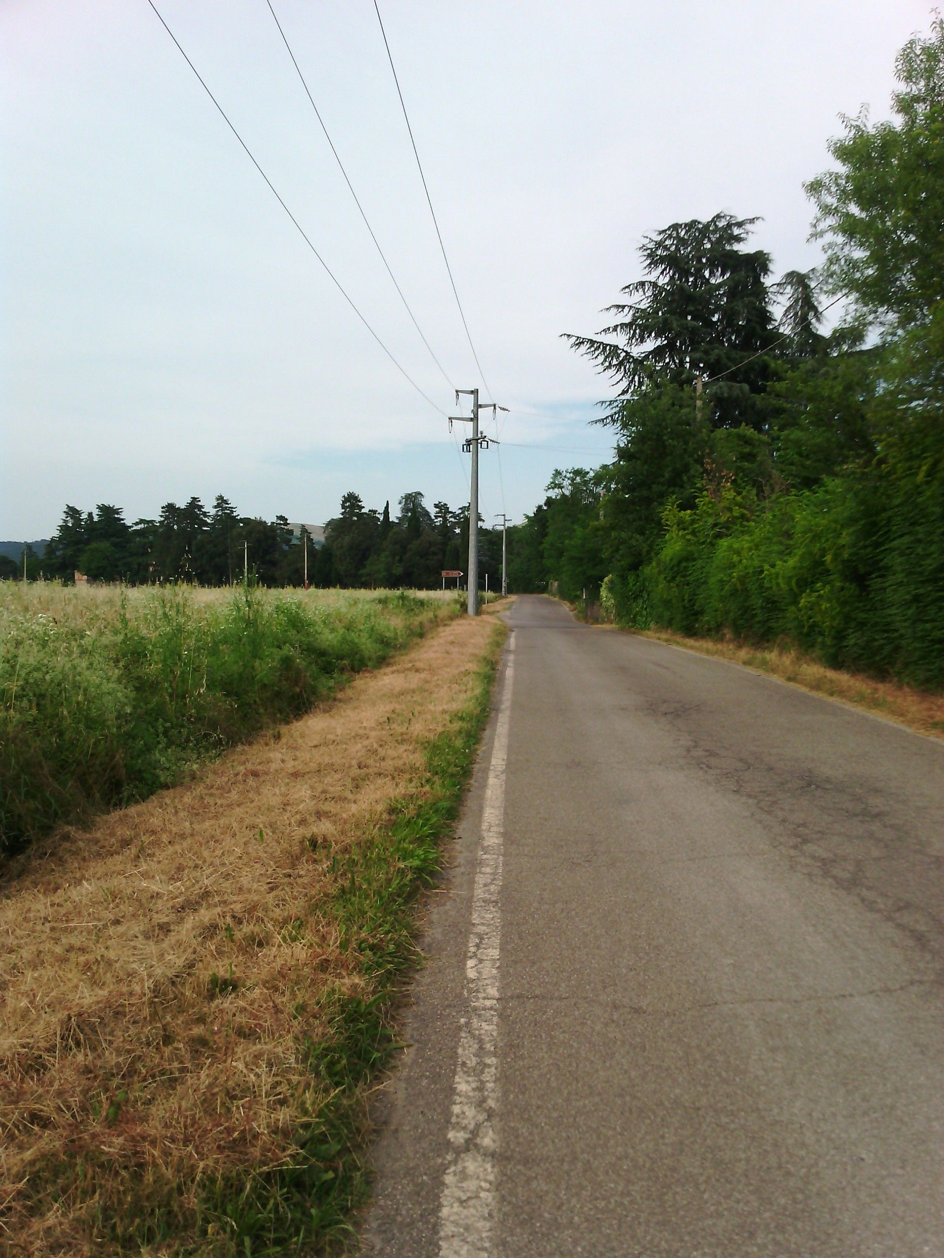 Vendita Terreno Agricolo Sasso Marconi