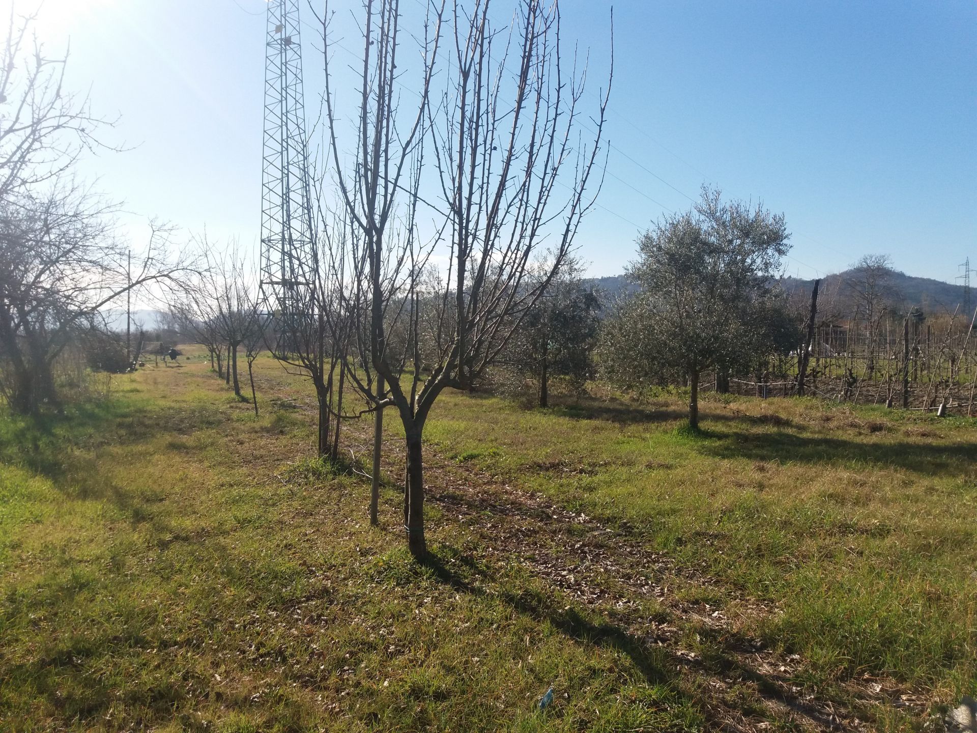 Terreno Agricolo Aulla 