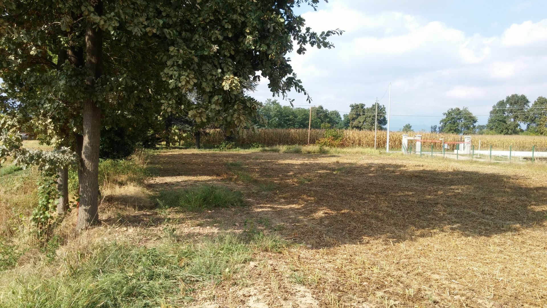 Terreno edificabile in Vendita Cerrione