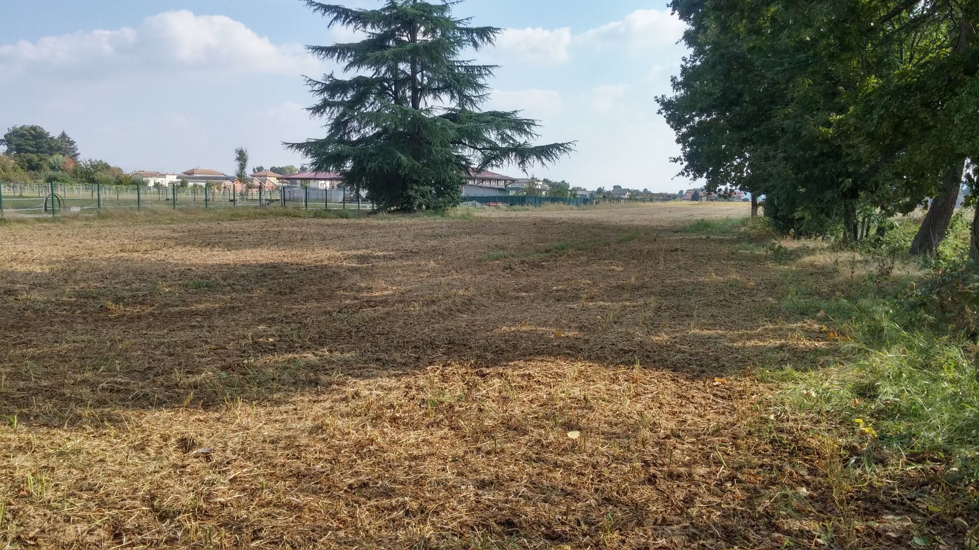Altro Cerrione 