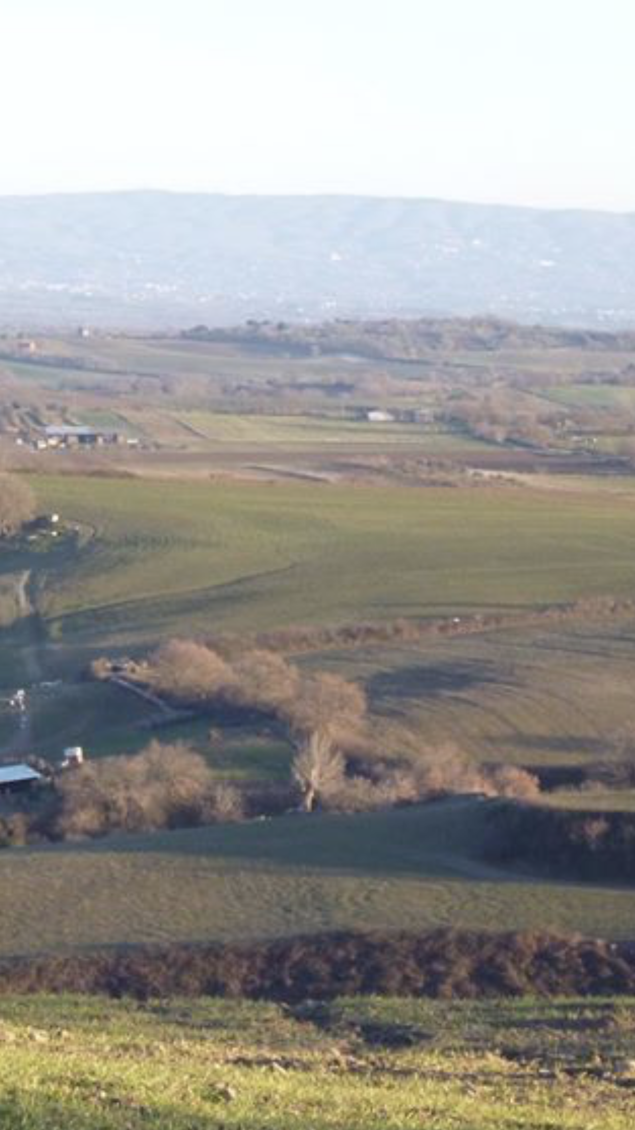 Terreno Agricolo Capodimonte 