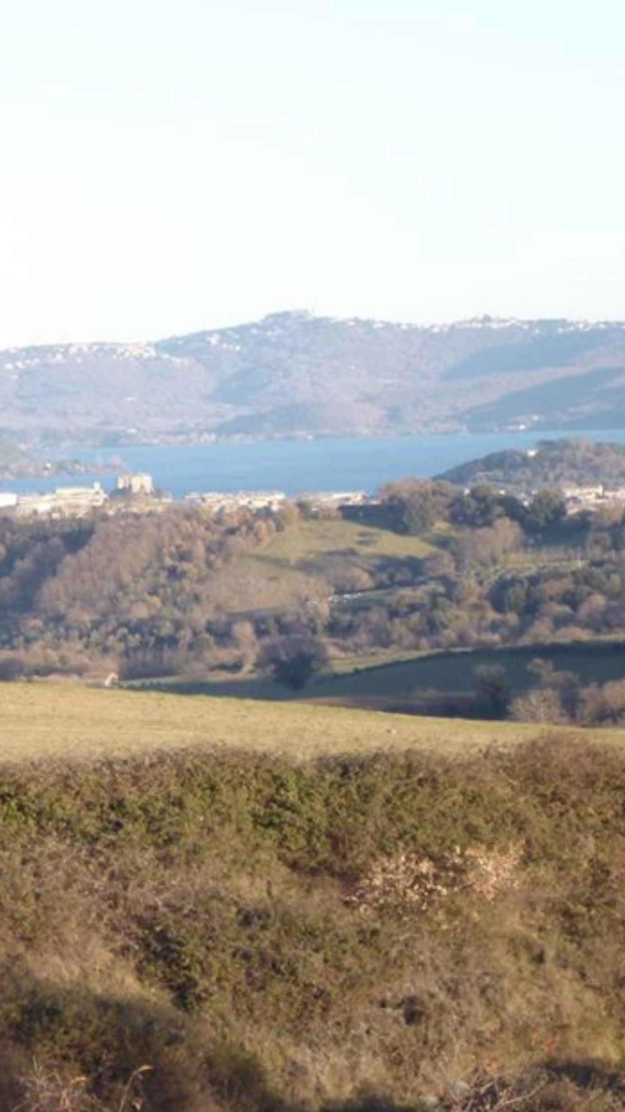 Terreno Agricolo Capodimonte 