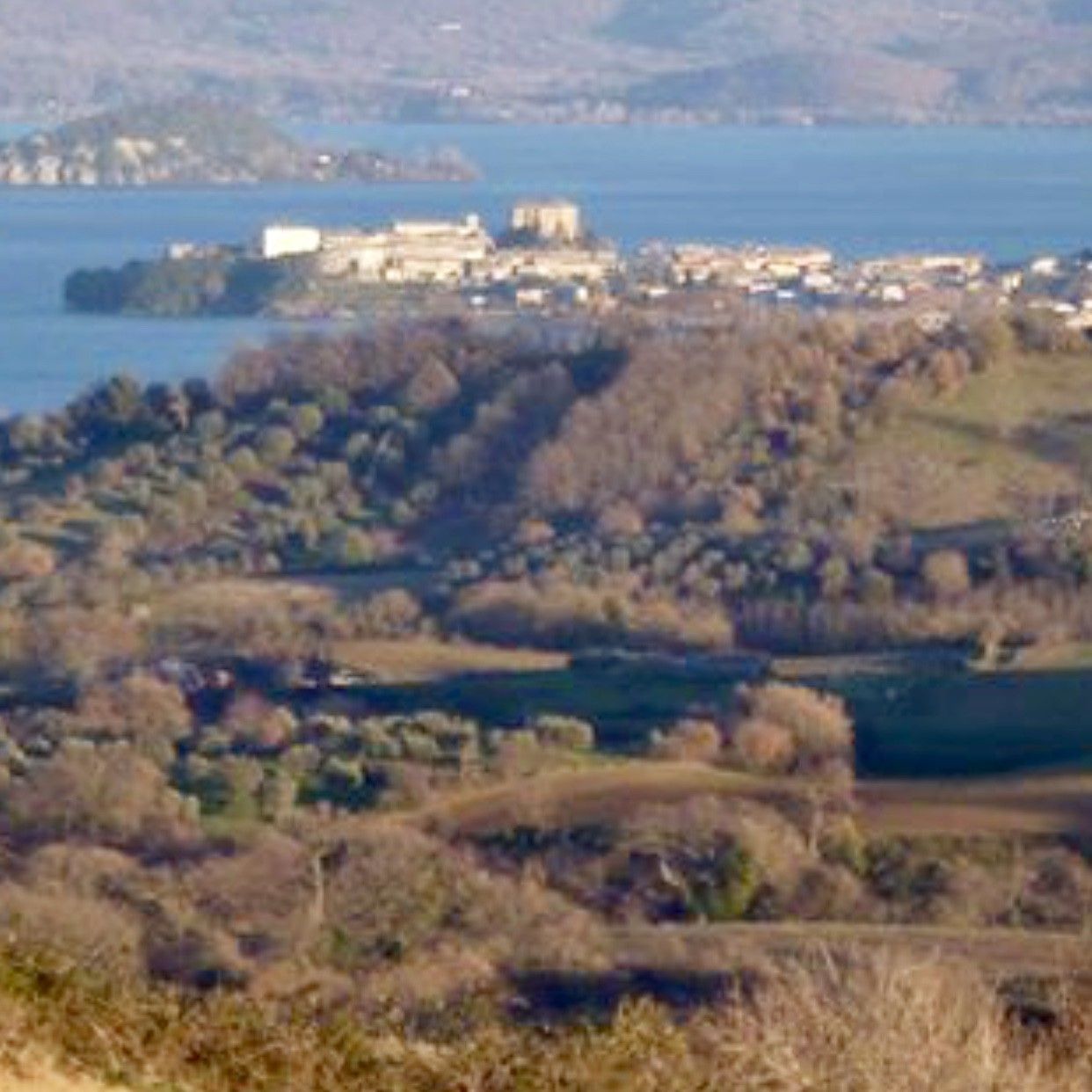 Terreno Agricolo Capodimonte 