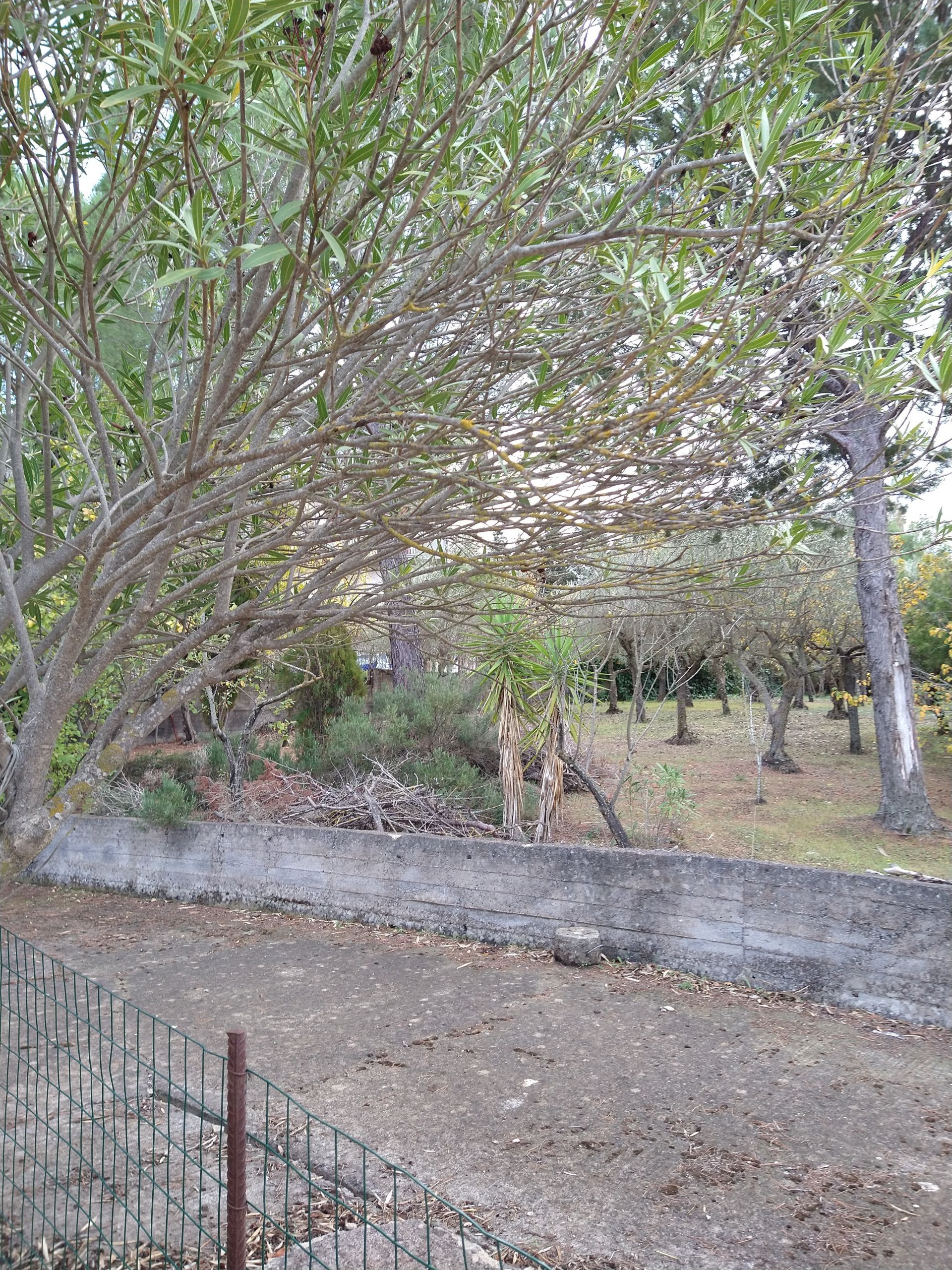 Terreno Residenziale Nicosia 