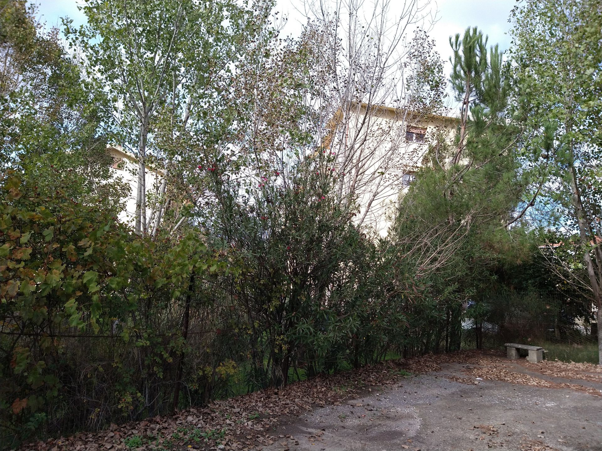 Terreno Residenziale Nicosia 