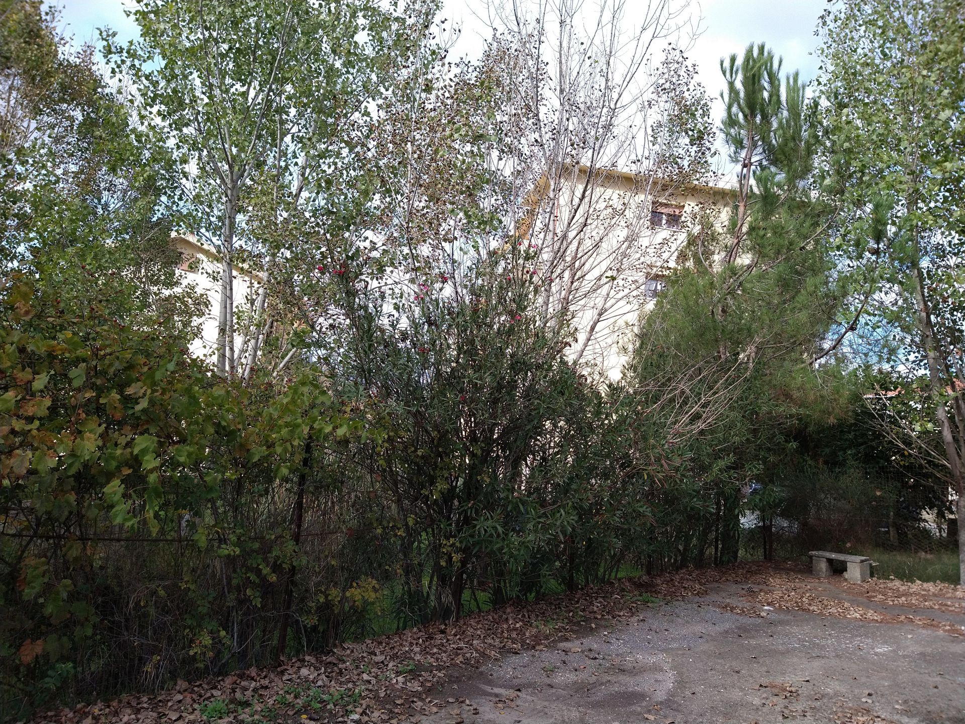 Vendita Terreno Residenziale Nicosia