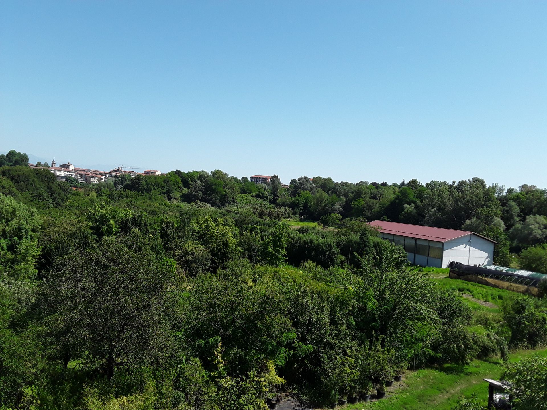 Terreno Agricolo Alpignano 