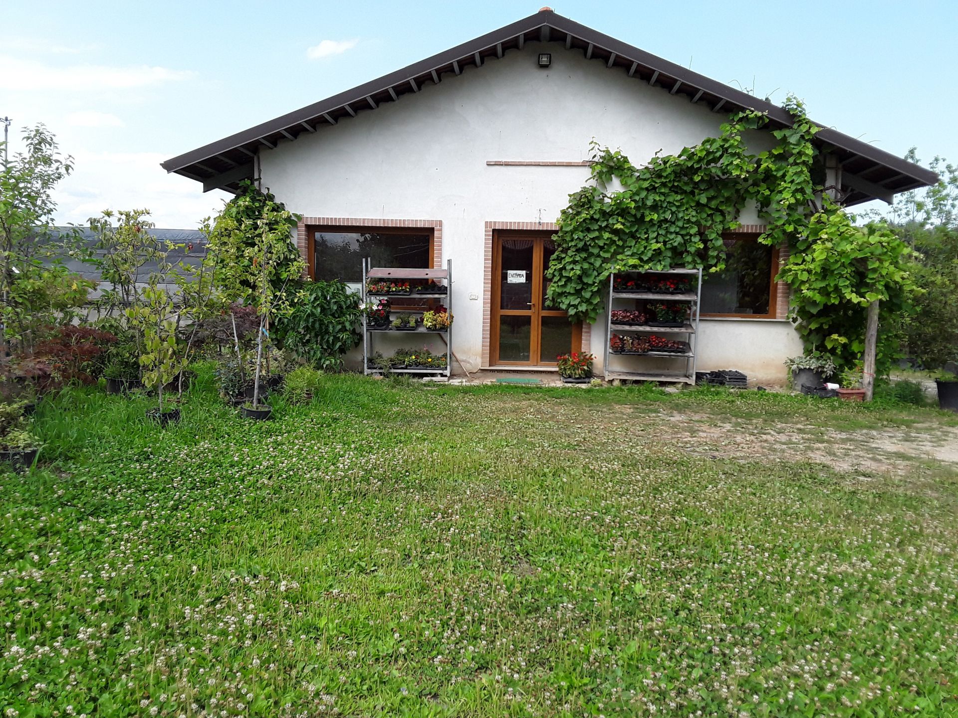 Terreno Agricolo Alpignano 