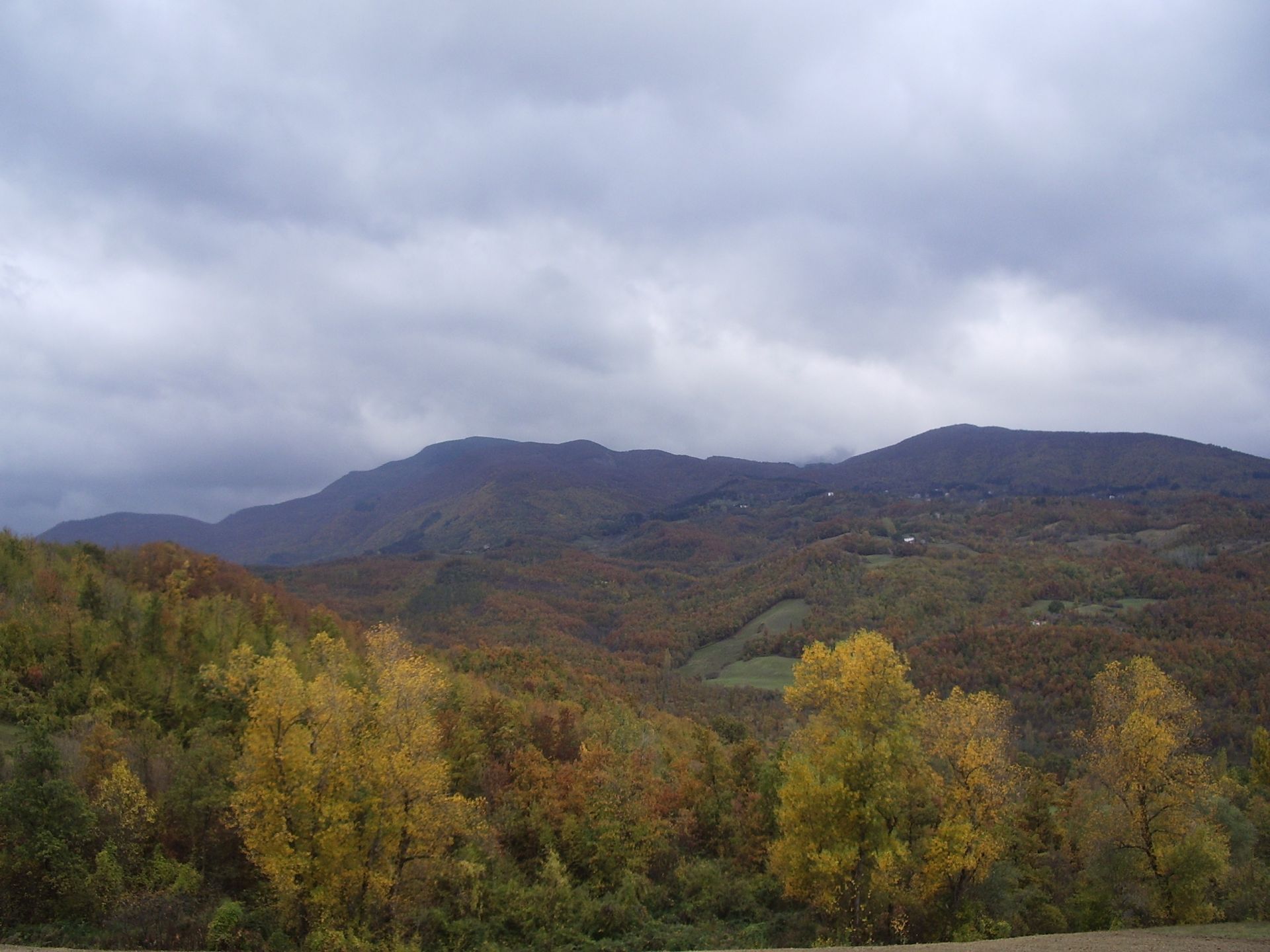 Affitto Terreno Agricolo Lizzano in Belvedere