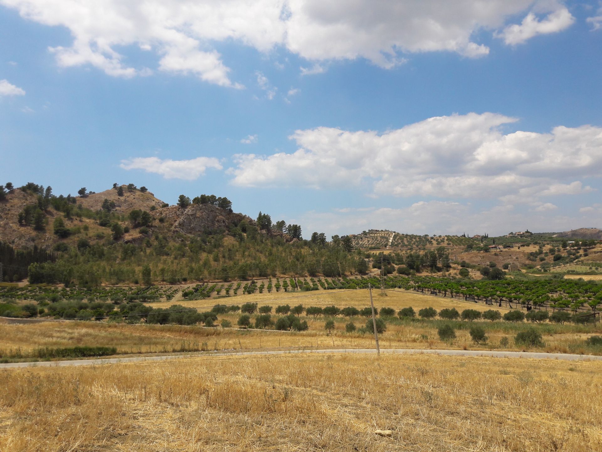 Vendita Terreno Agricolo Cattolica Eraclea