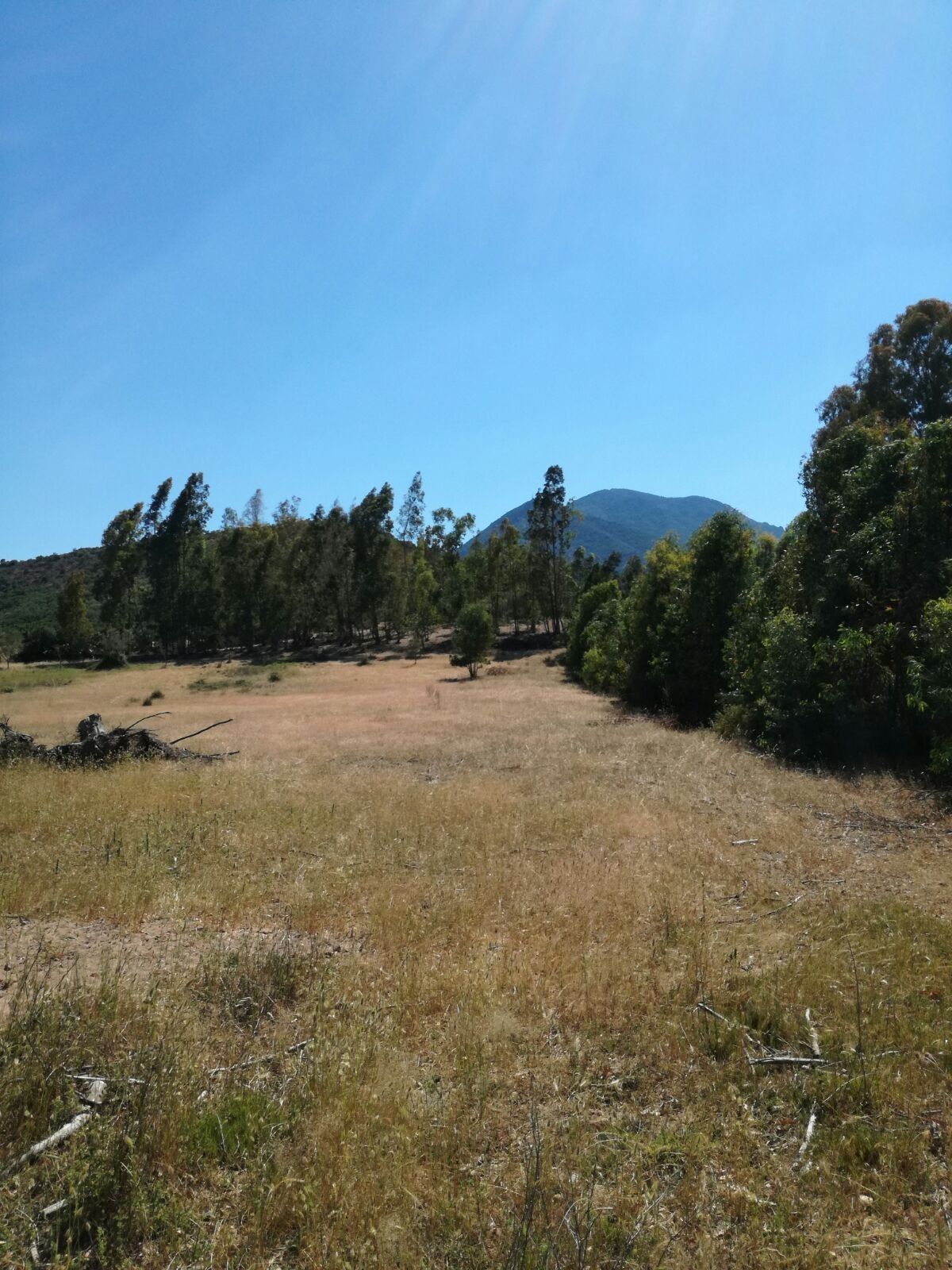 Terreno Agricolo Tortolì 