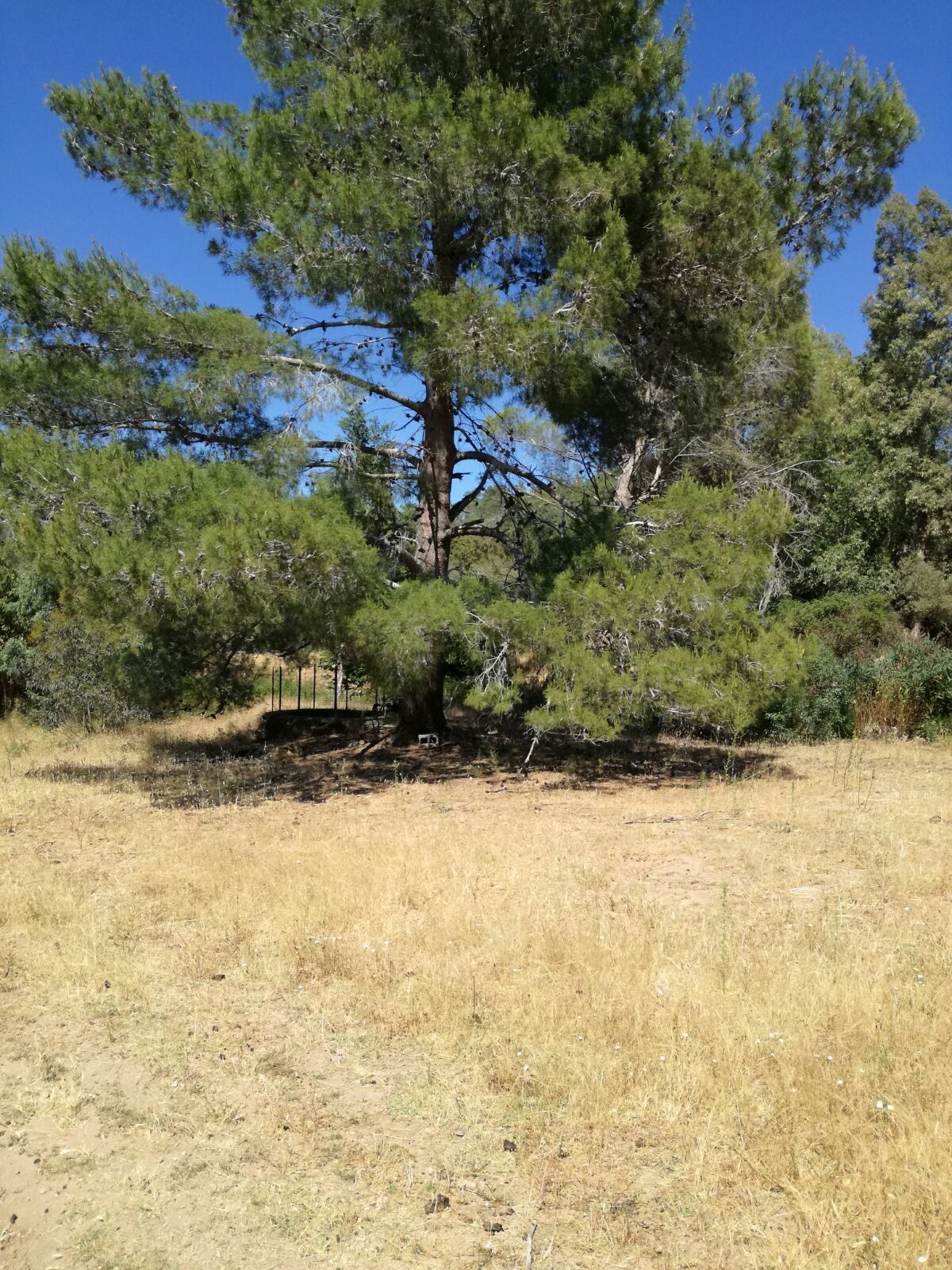 Terreno Agricolo Tortolì 