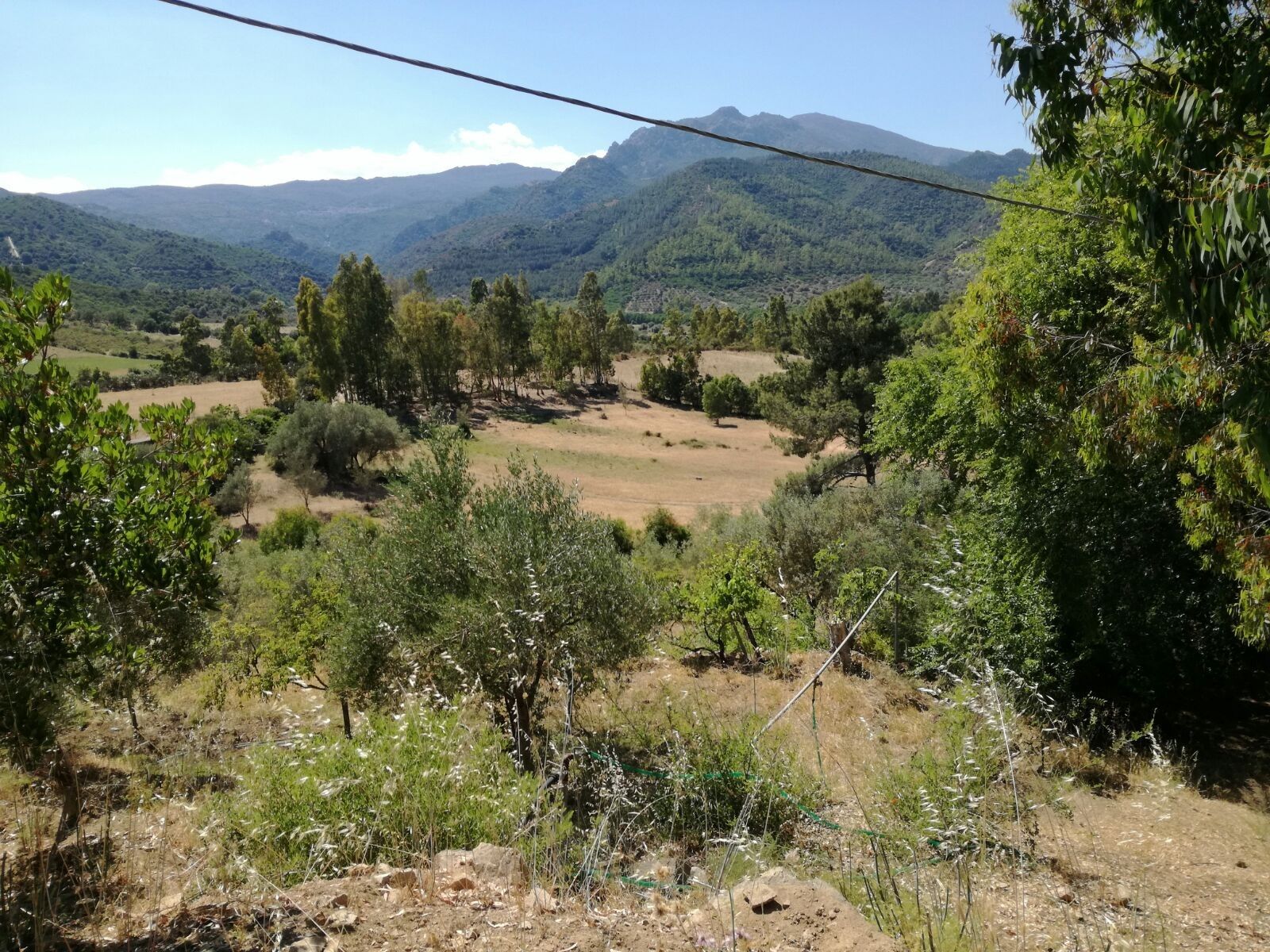 Terreno Agricolo Tortolì 