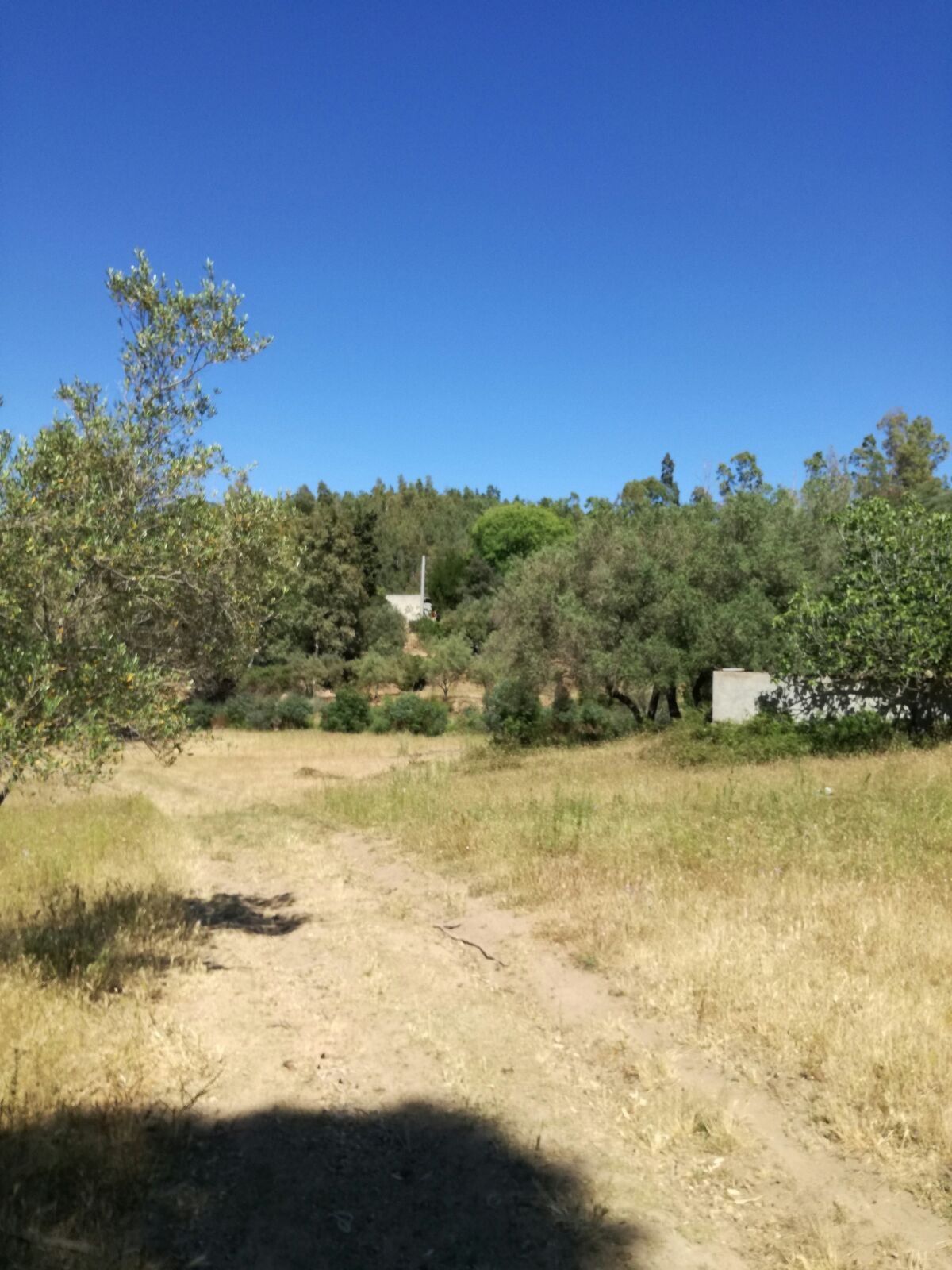 Terreno Agricolo Tortolì 