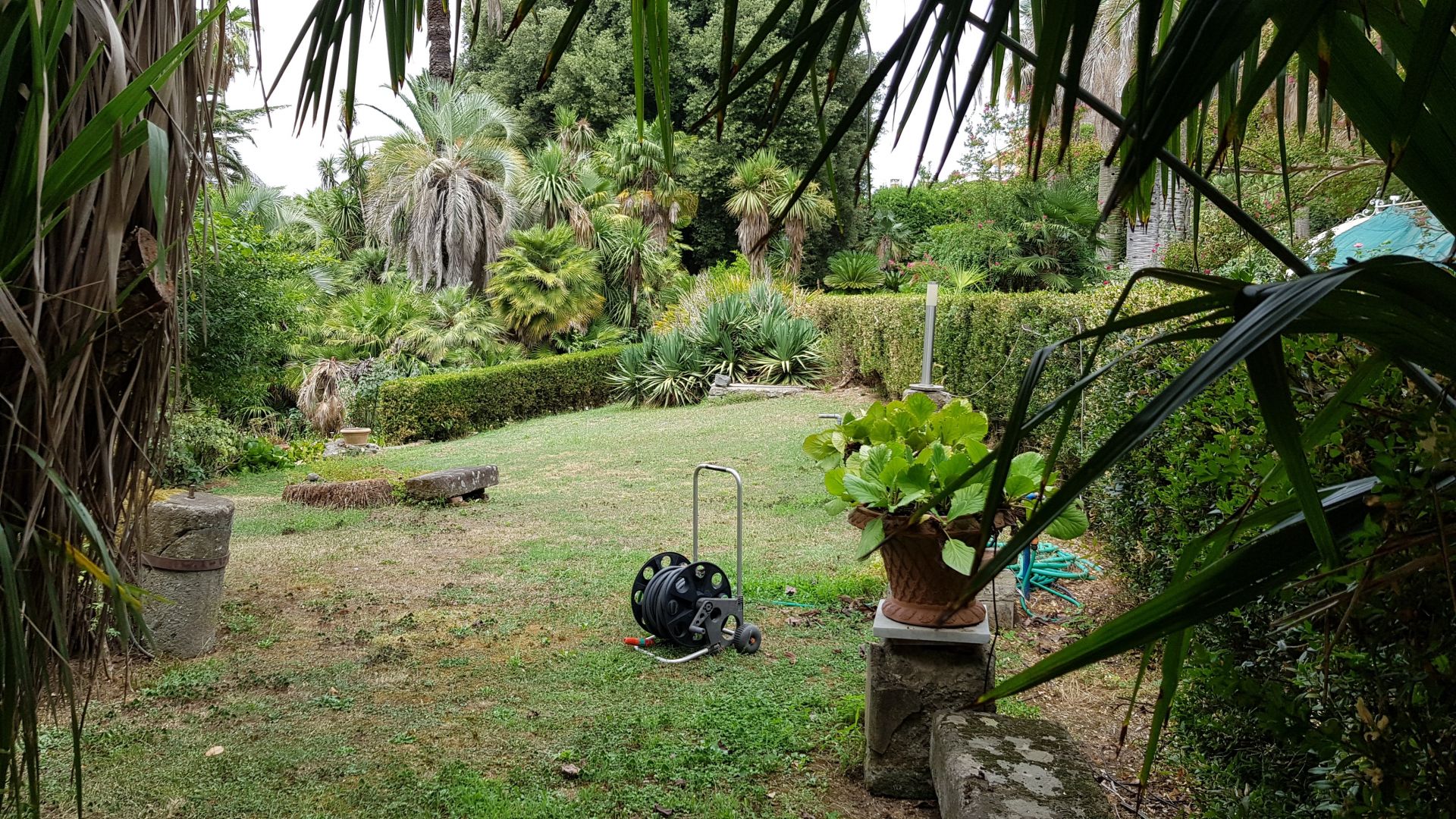 Terreno Agricolo Albano Laziale 