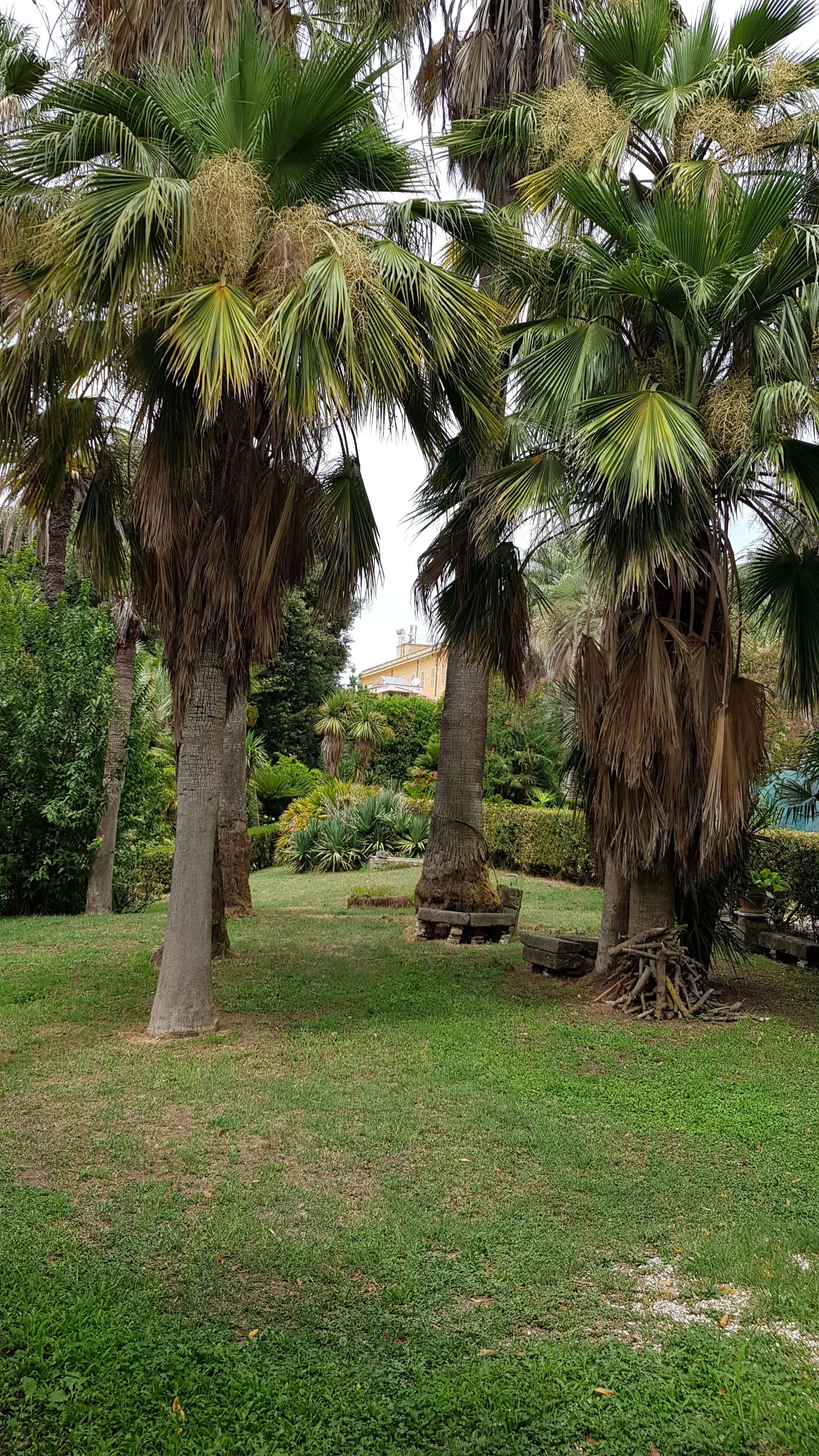 Terreno Agricolo Albano Laziale 