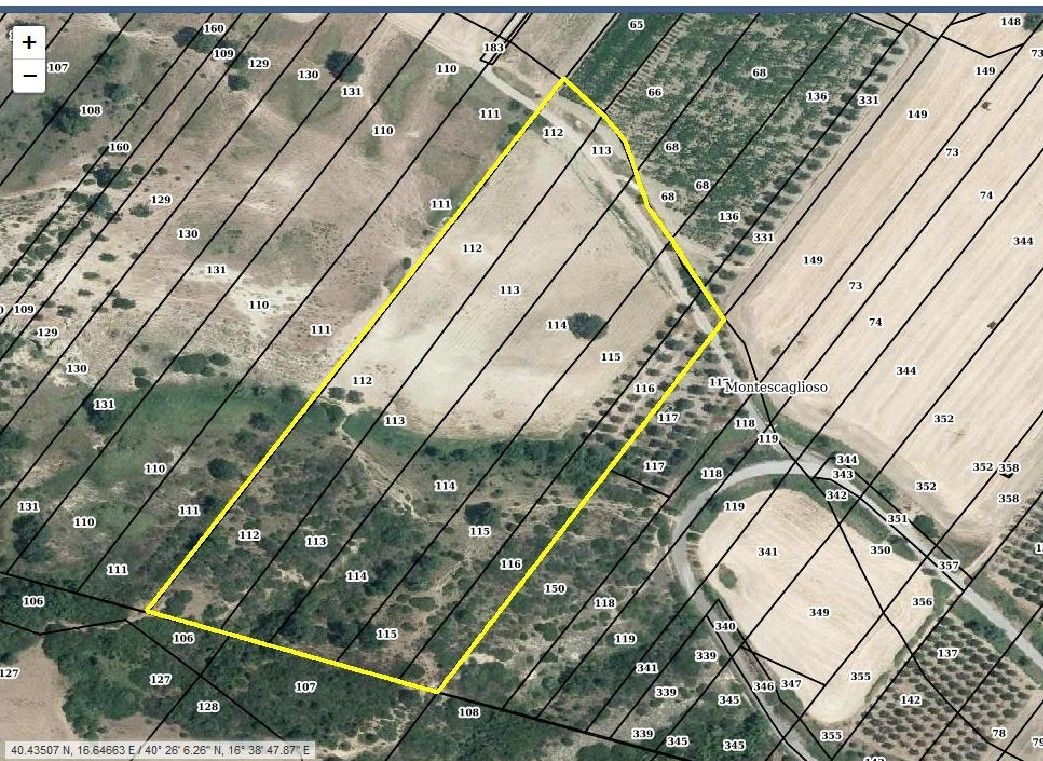Terreno Agricolo in Vendita Montescaglioso