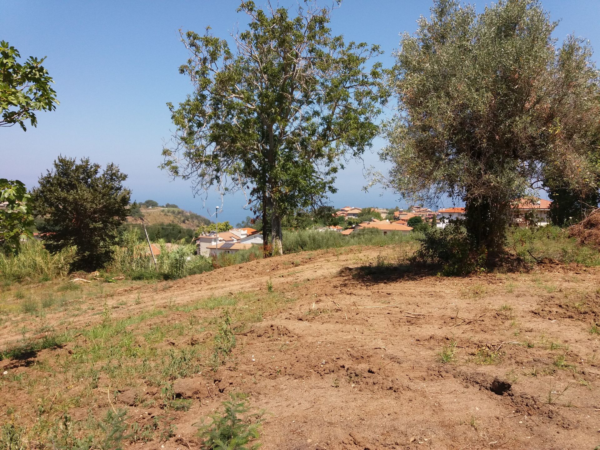 Vendita Terreno Agricolo Tropea