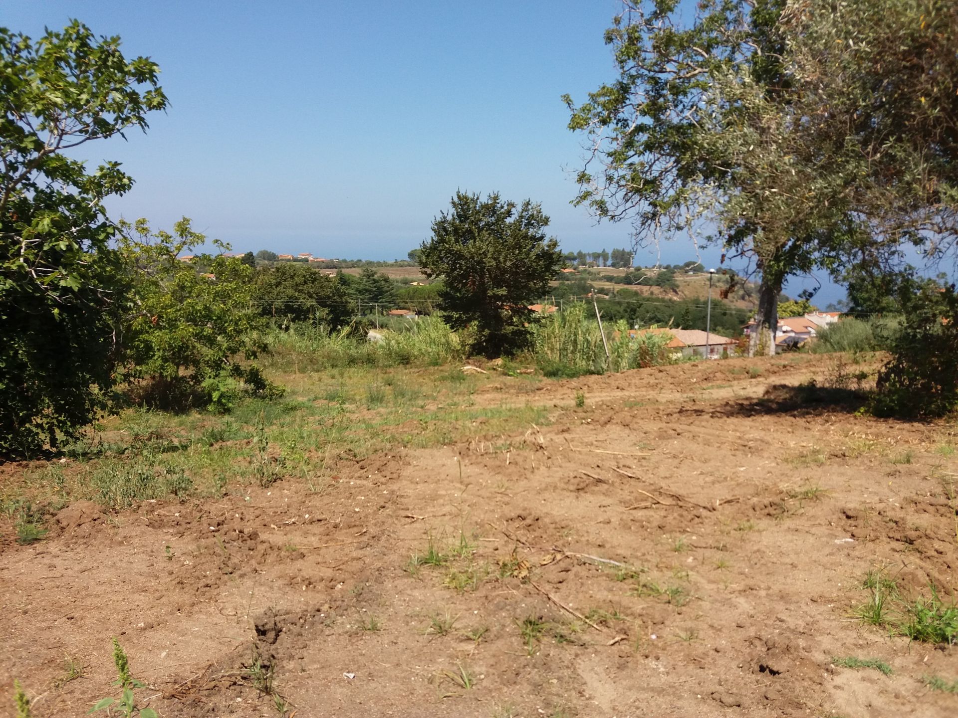 Vendita Terreno Agricolo Tropea