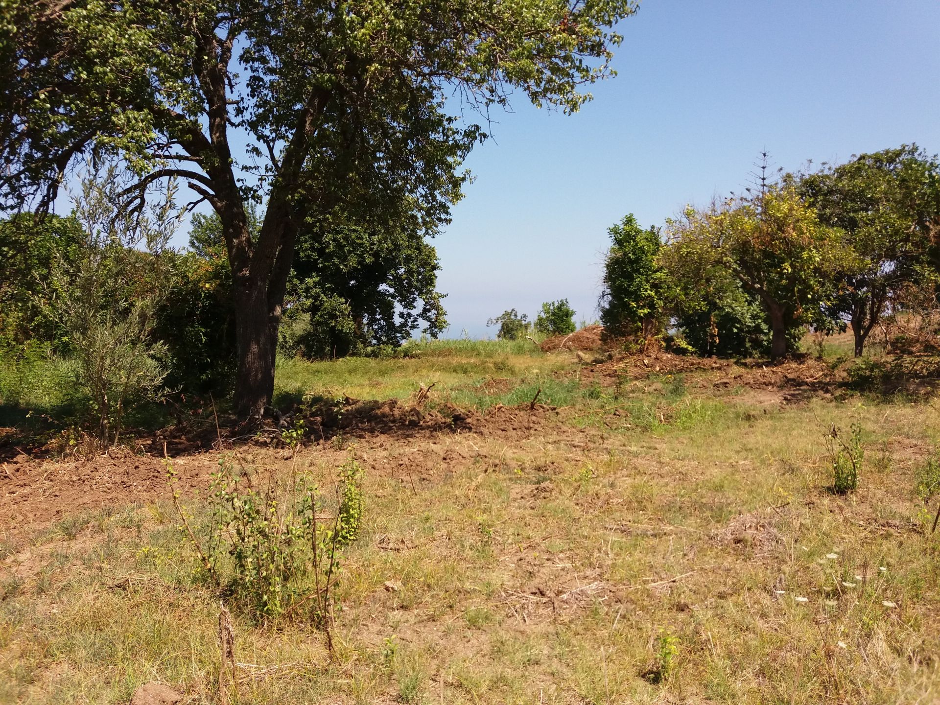 Vendita Terreno Agricolo Tropea