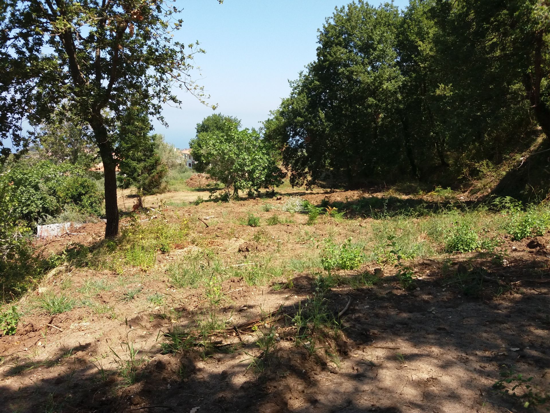 Terreno Agricolo Tropea 