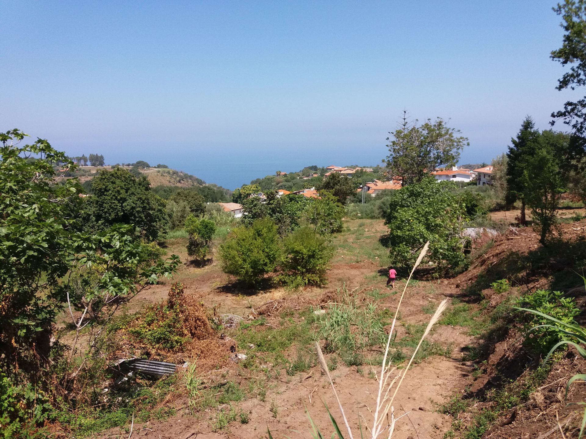 Terreno Agricolo Tropea 