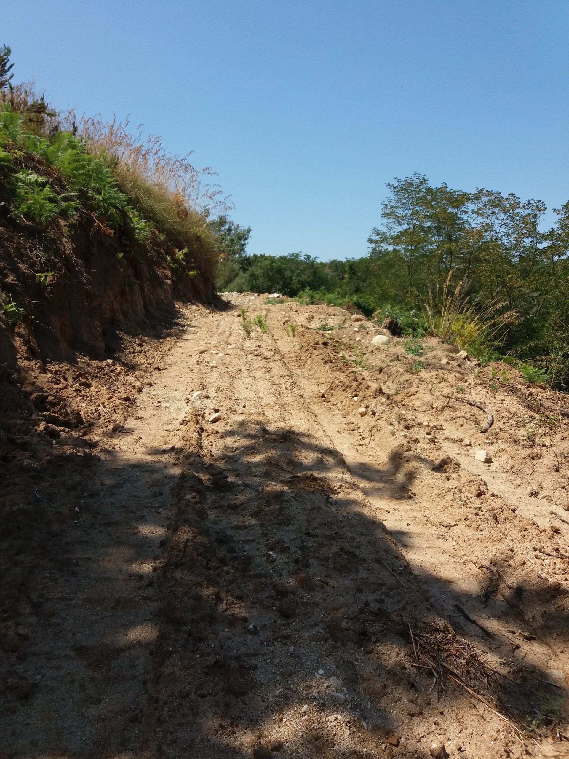 Terreno Agricolo Tropea 