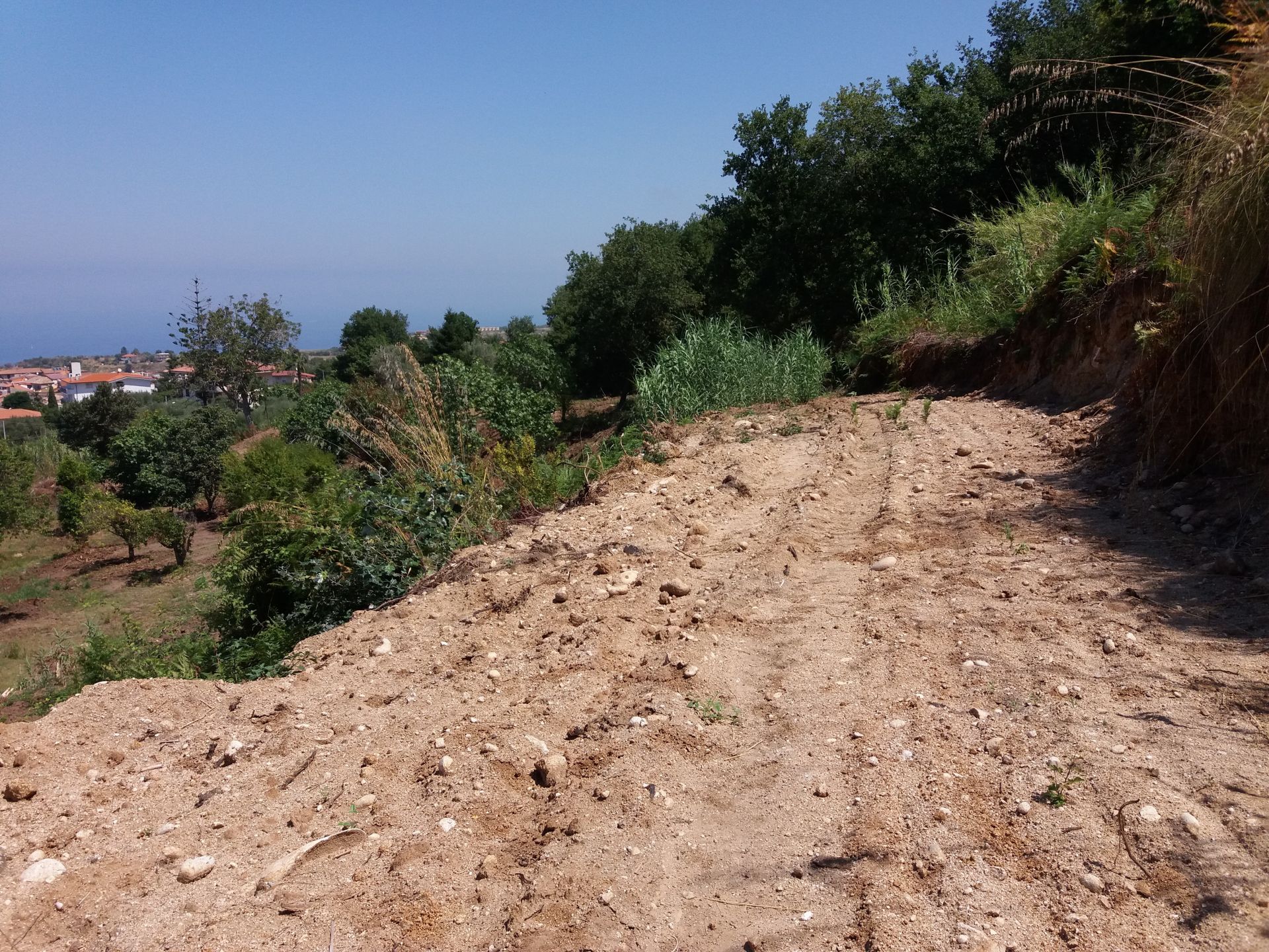 Vendita Terreno Agricolo Tropea