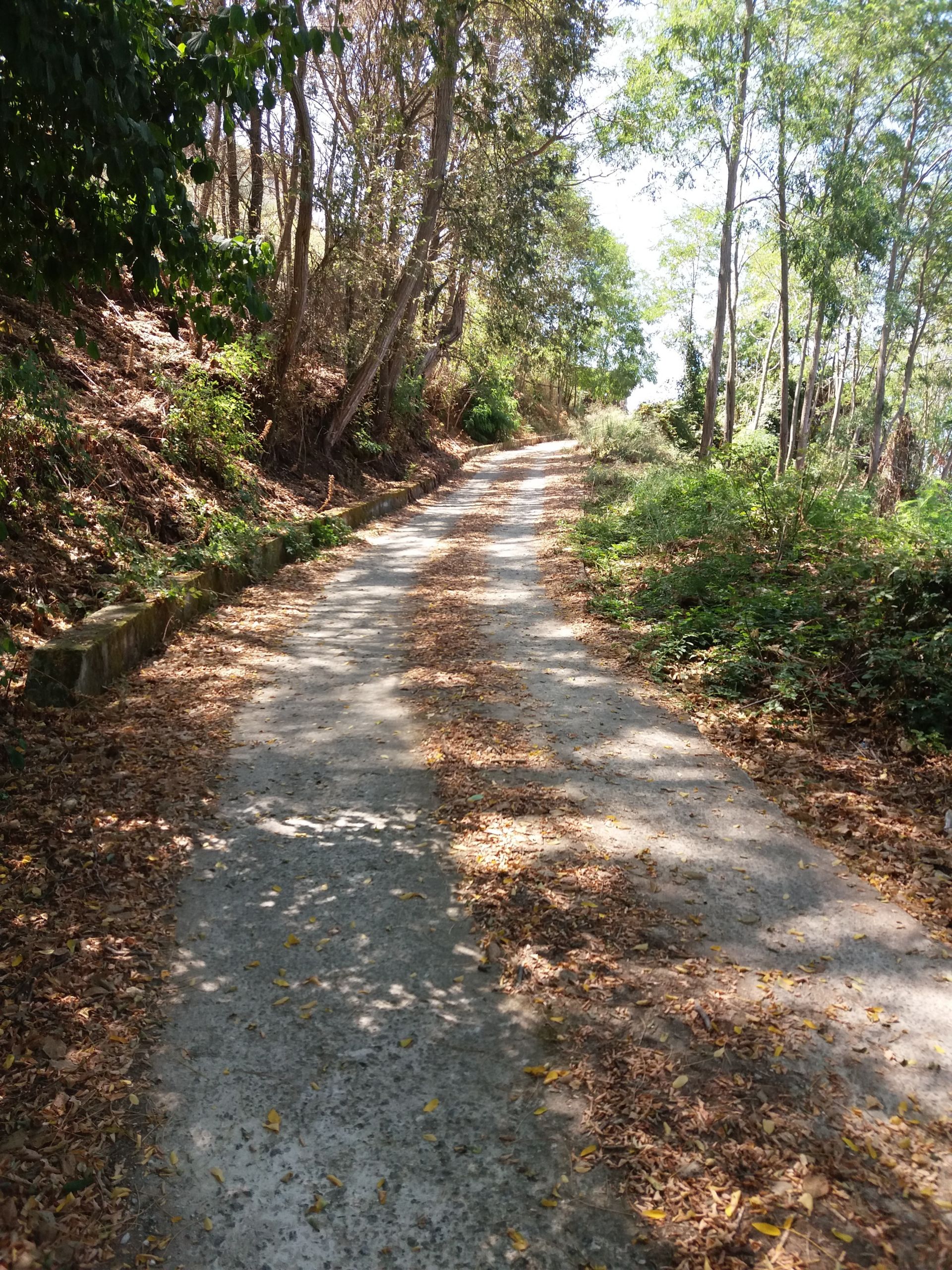 Vendita Terreno Agricolo Tropea