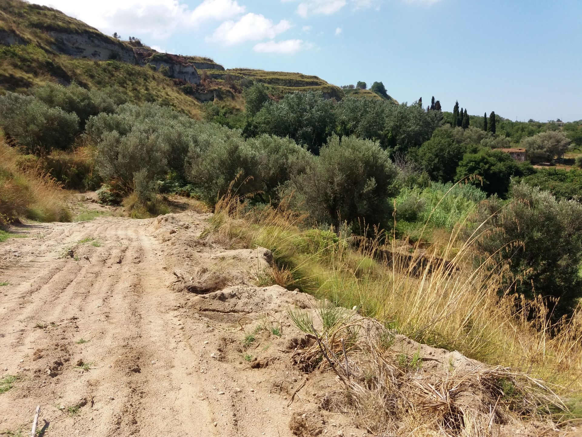 Terreno Agricolo Tropea 