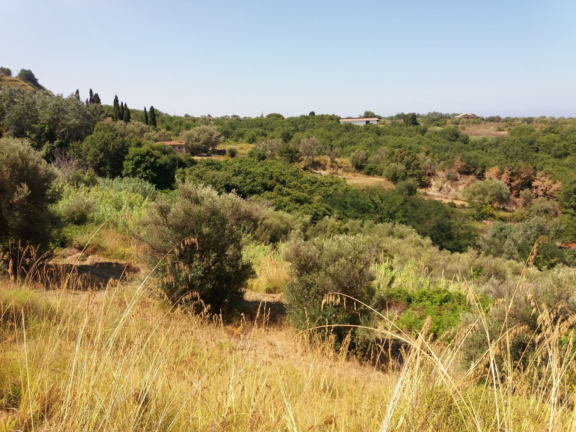 Terreno Agricolo Tropea 