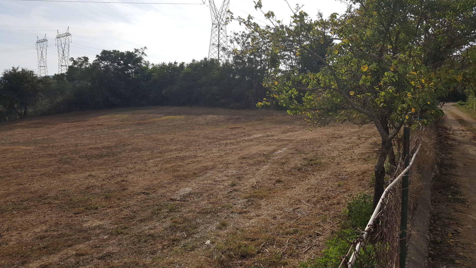 Vendita Terreno Agricolo Roma