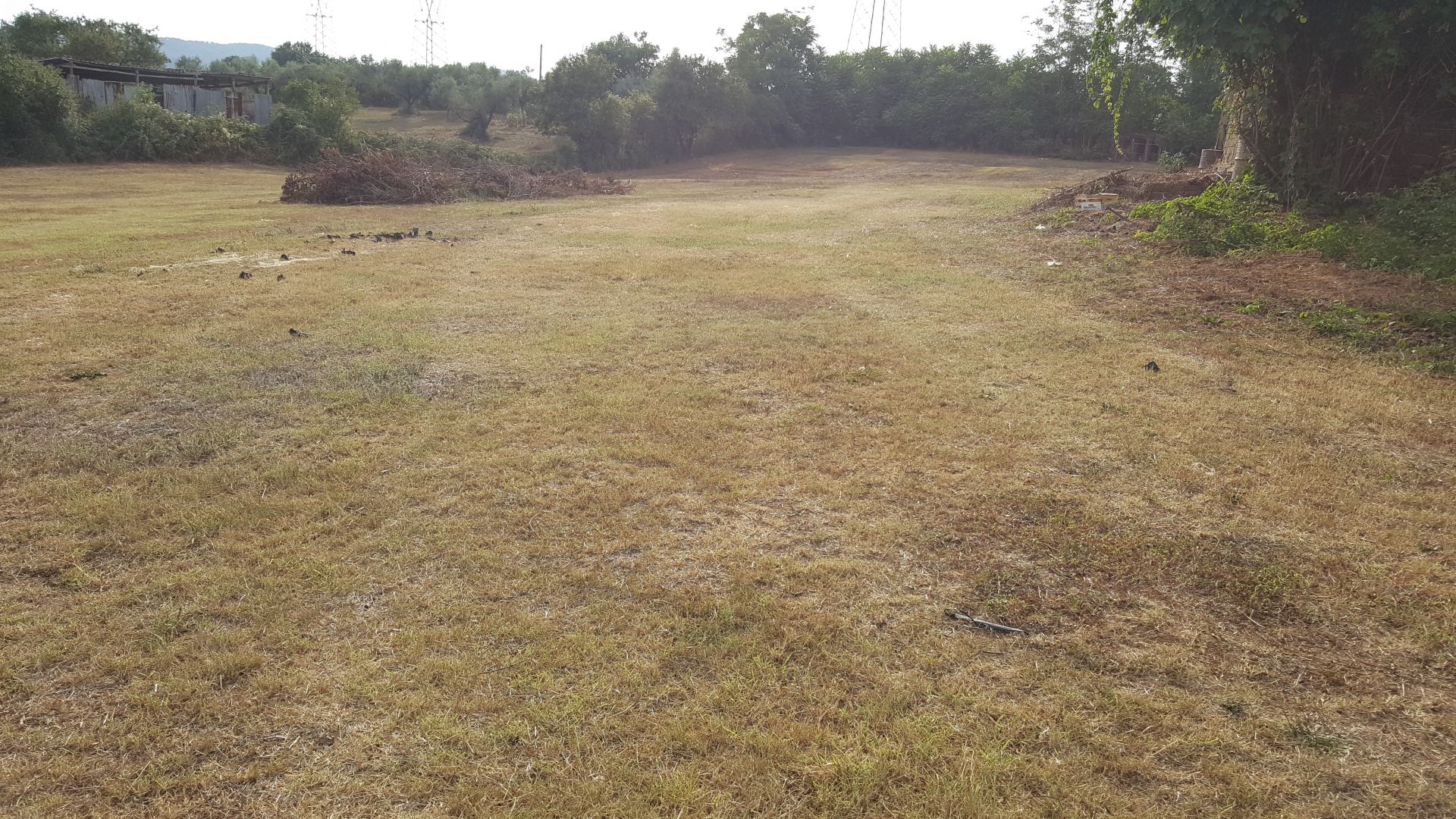 Vendita Terreno Agricolo Roma