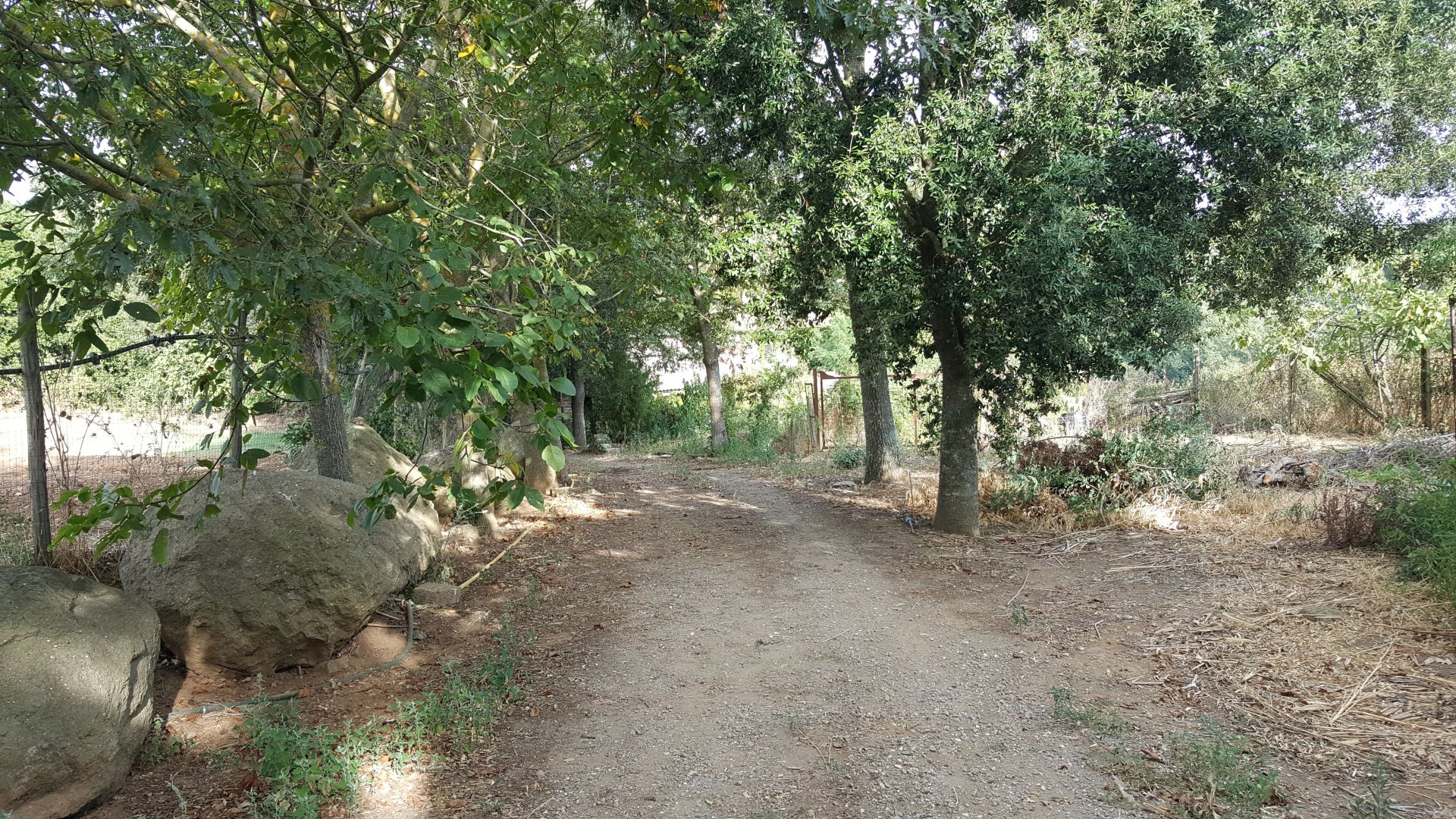 Vendita Terreno Agricolo Roma