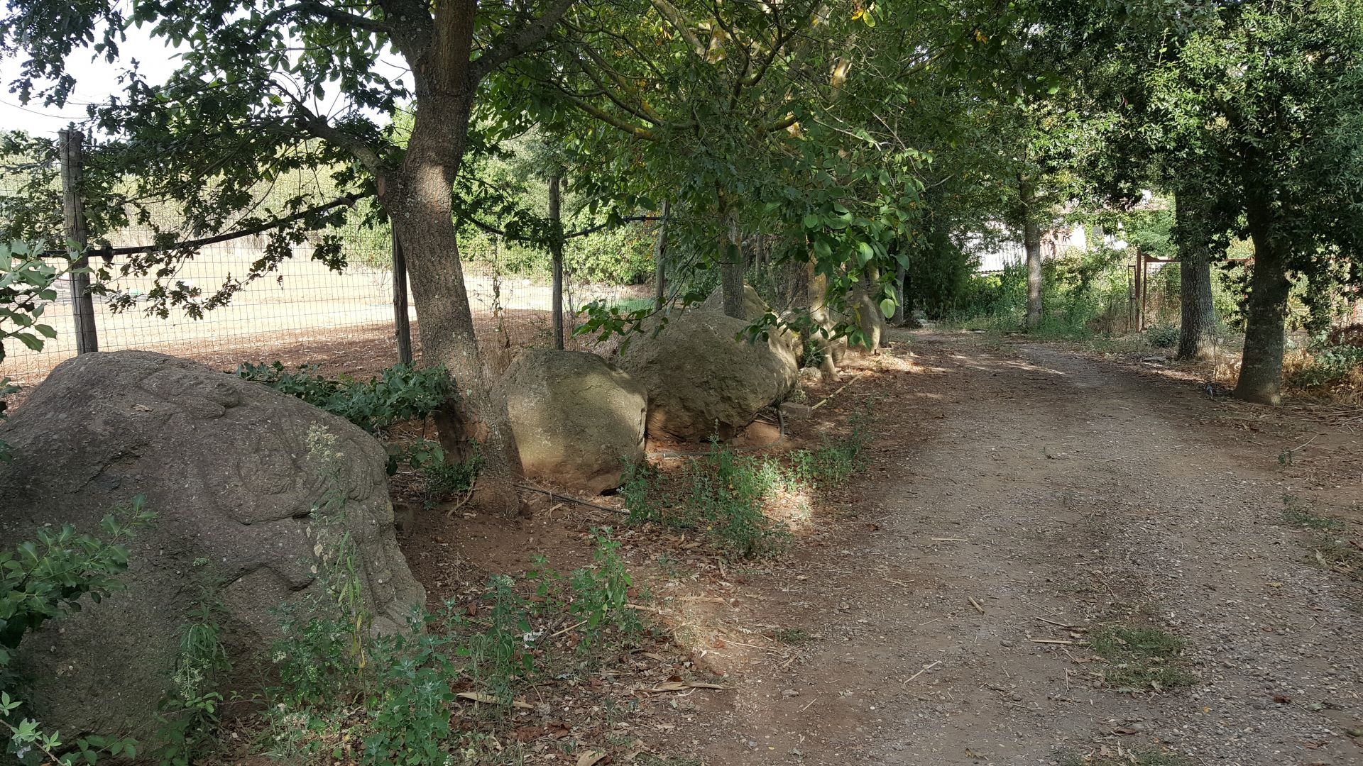 Vendita Terreno Agricolo Roma