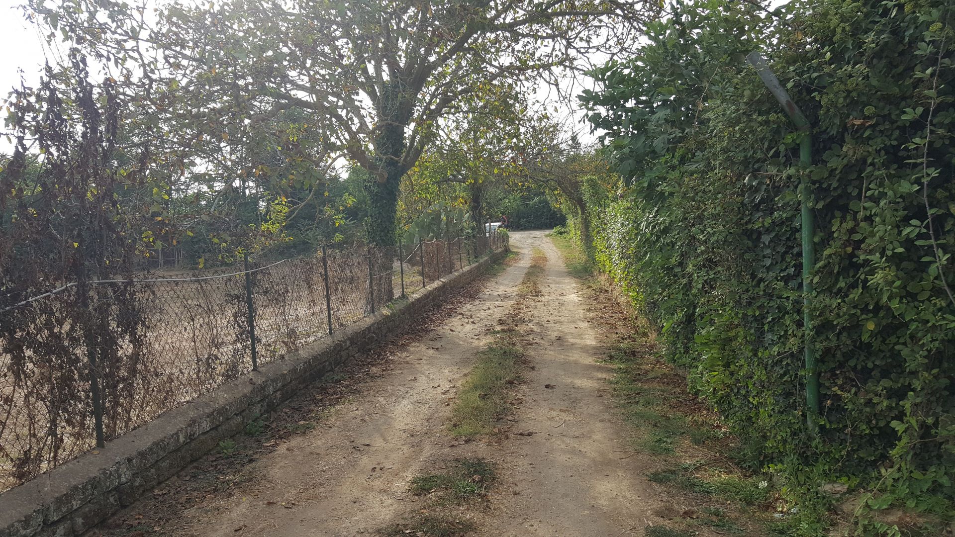 Vendita Terreno Agricolo Roma