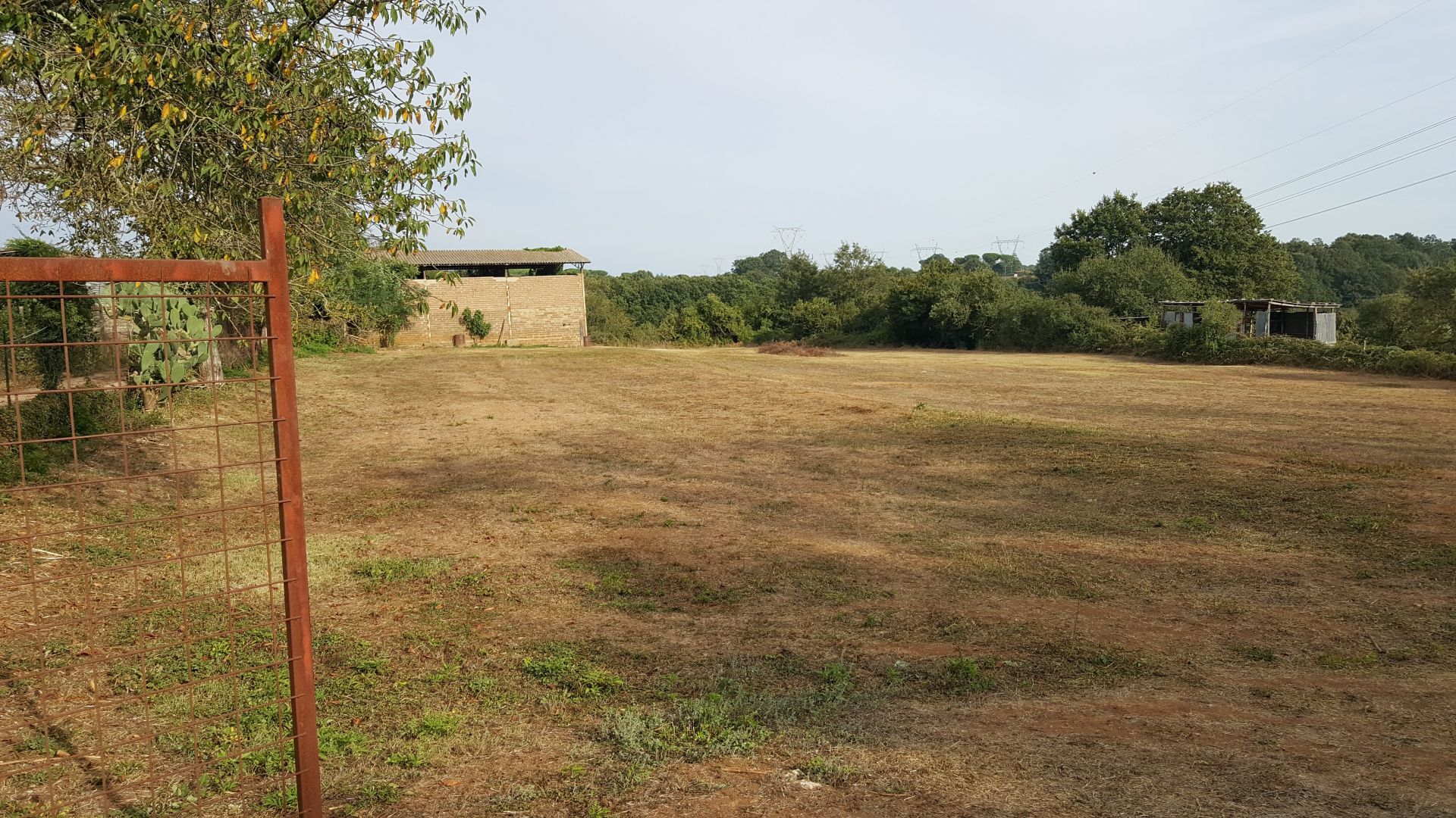 Vendita Terreno Agricolo Roma