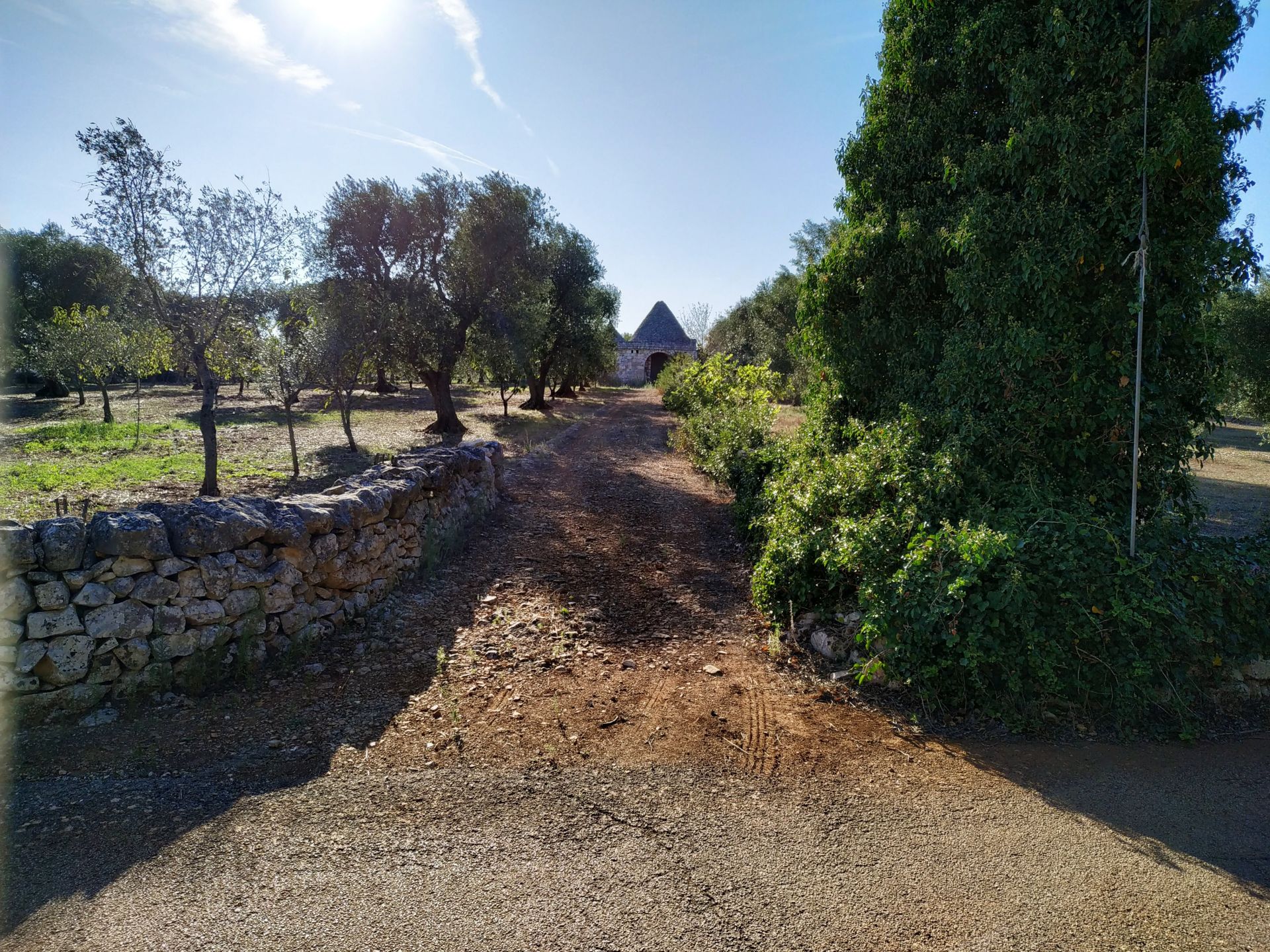 Vendita Terreno Agricolo Ceglie Messapica