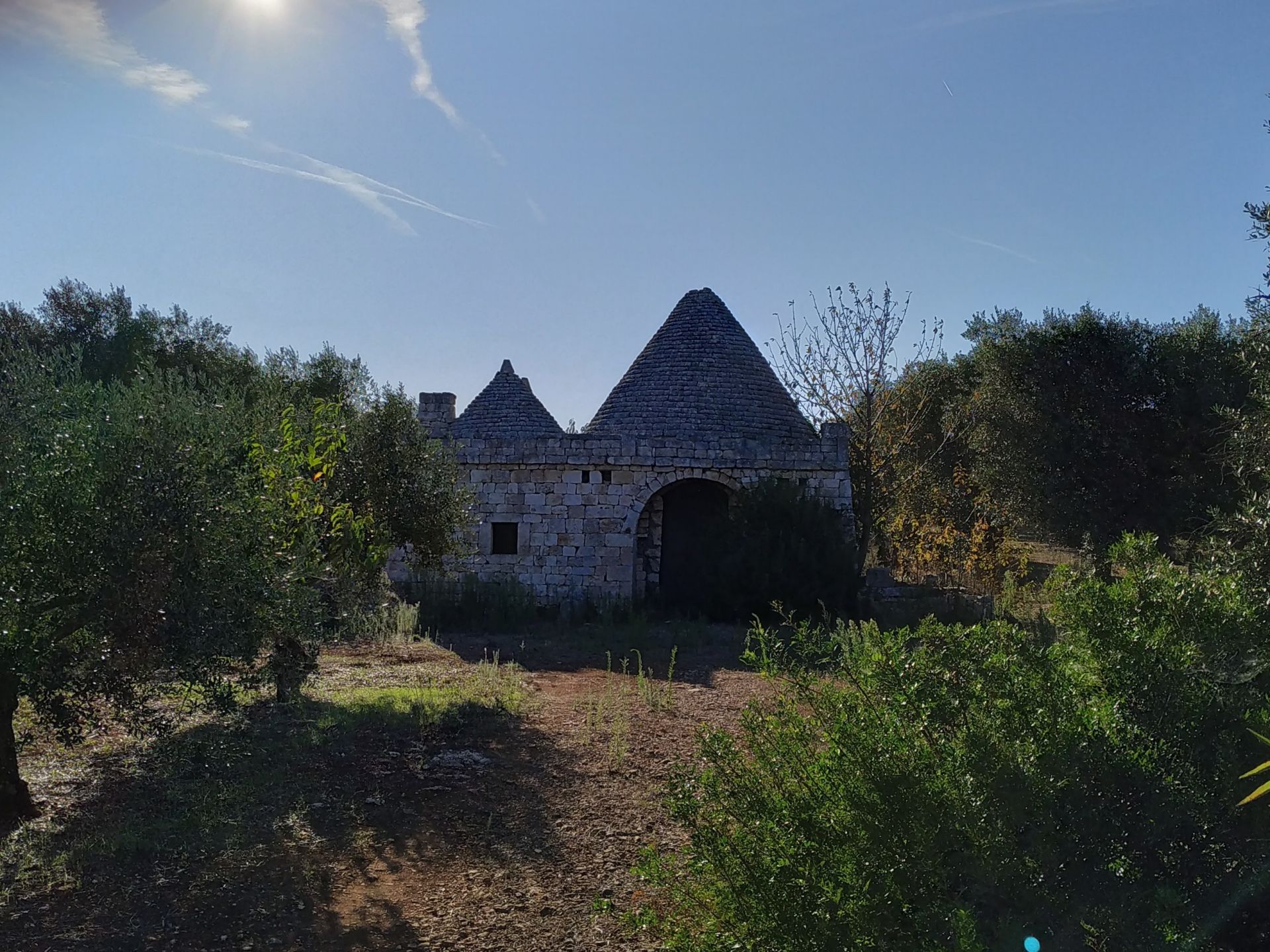 Vendita Terreno Agricolo Ceglie Messapica