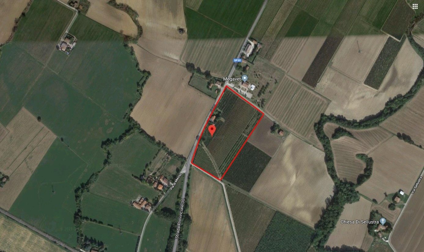 Terreno Agricolo in Vendita Dozza