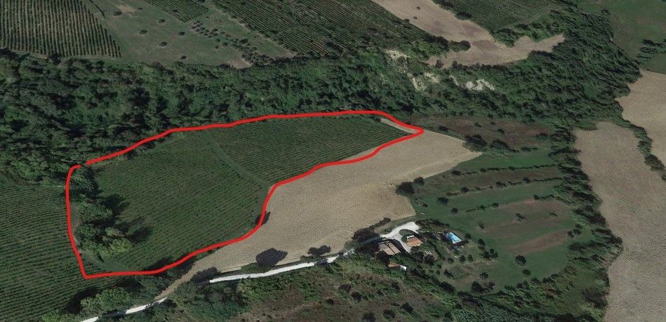 Terreno Agricolo Cupramontana 