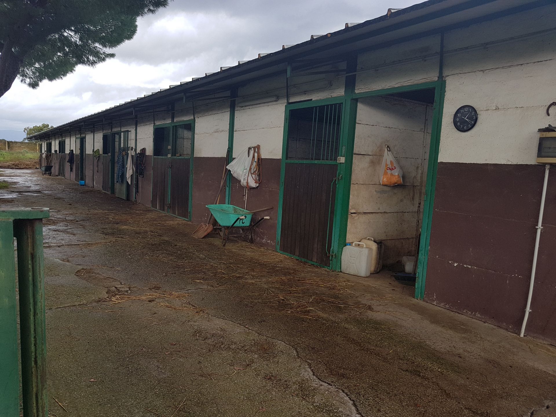 Terreno Agricolo Cisterna di Latina 