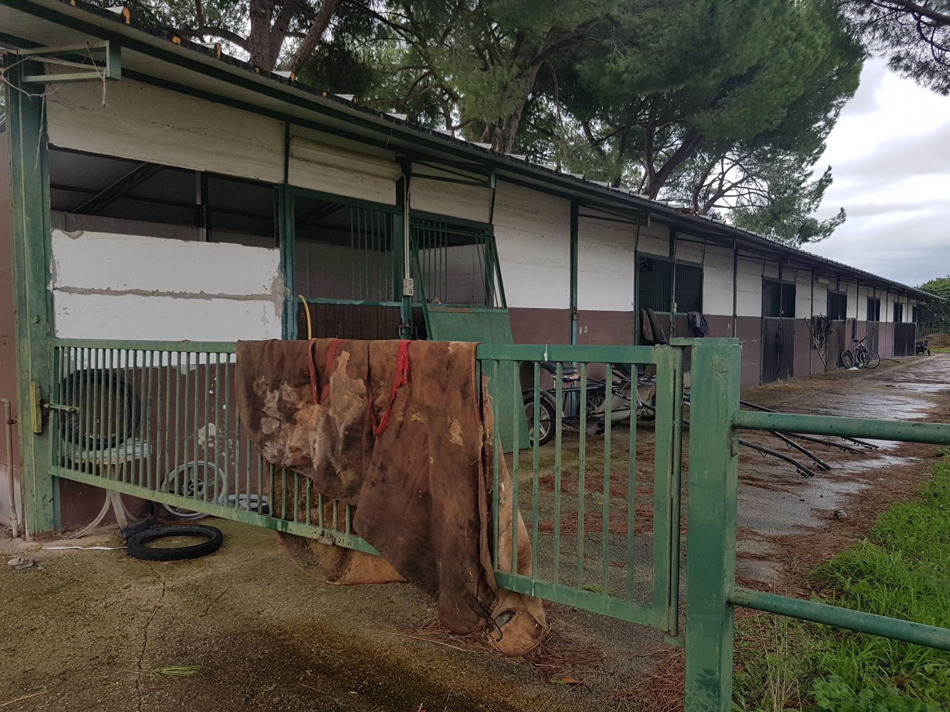 Vendita Terreno Agricolo Cisterna di Latina