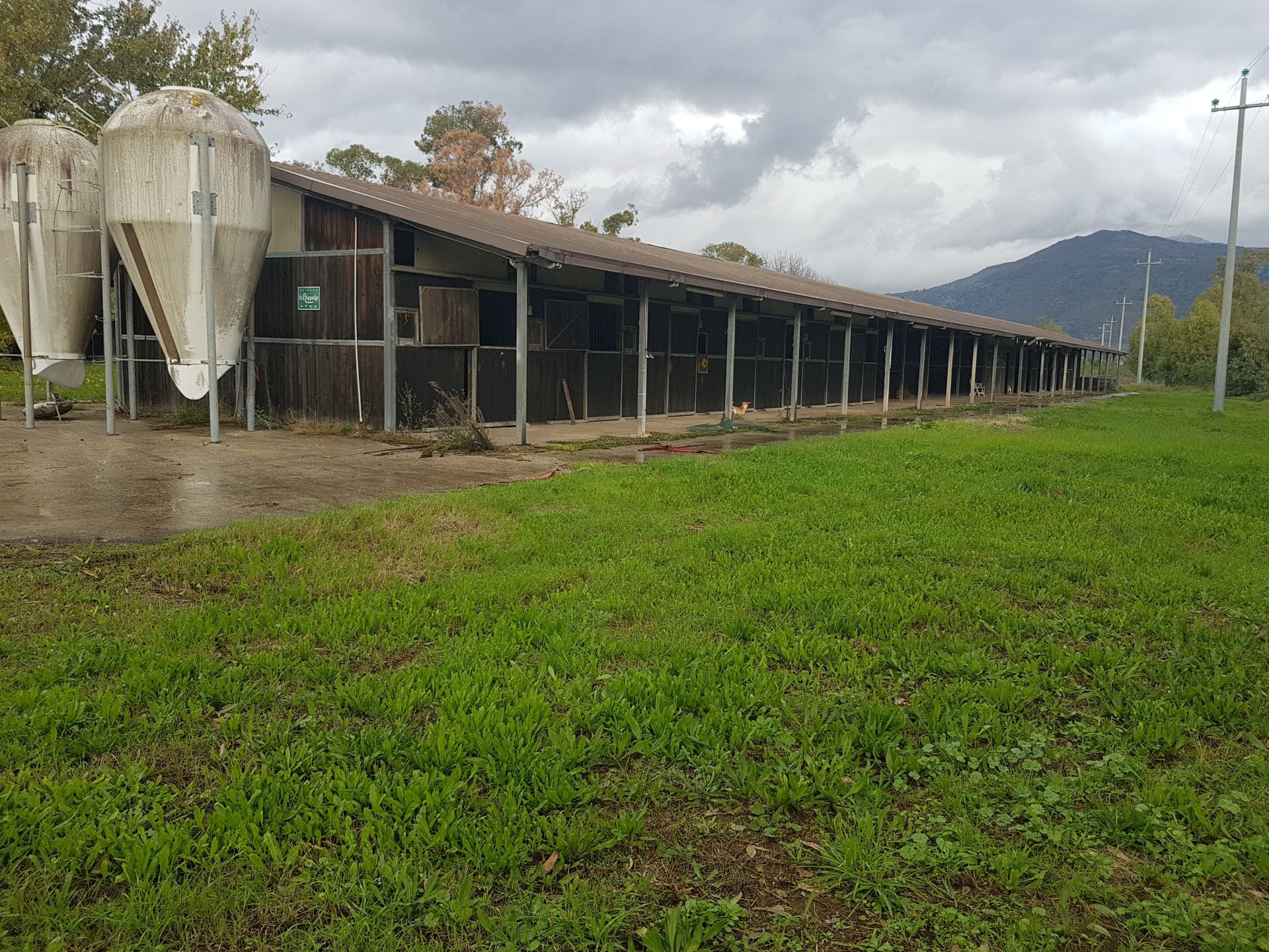 Vendita Terreno Agricolo Cisterna di Latina