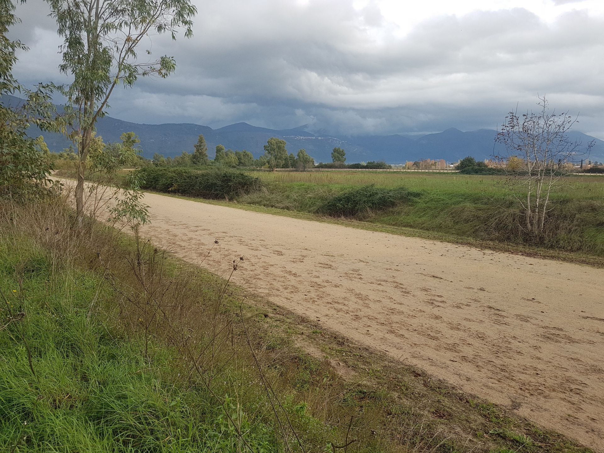 Terreno Agricolo Cisterna di Latina 